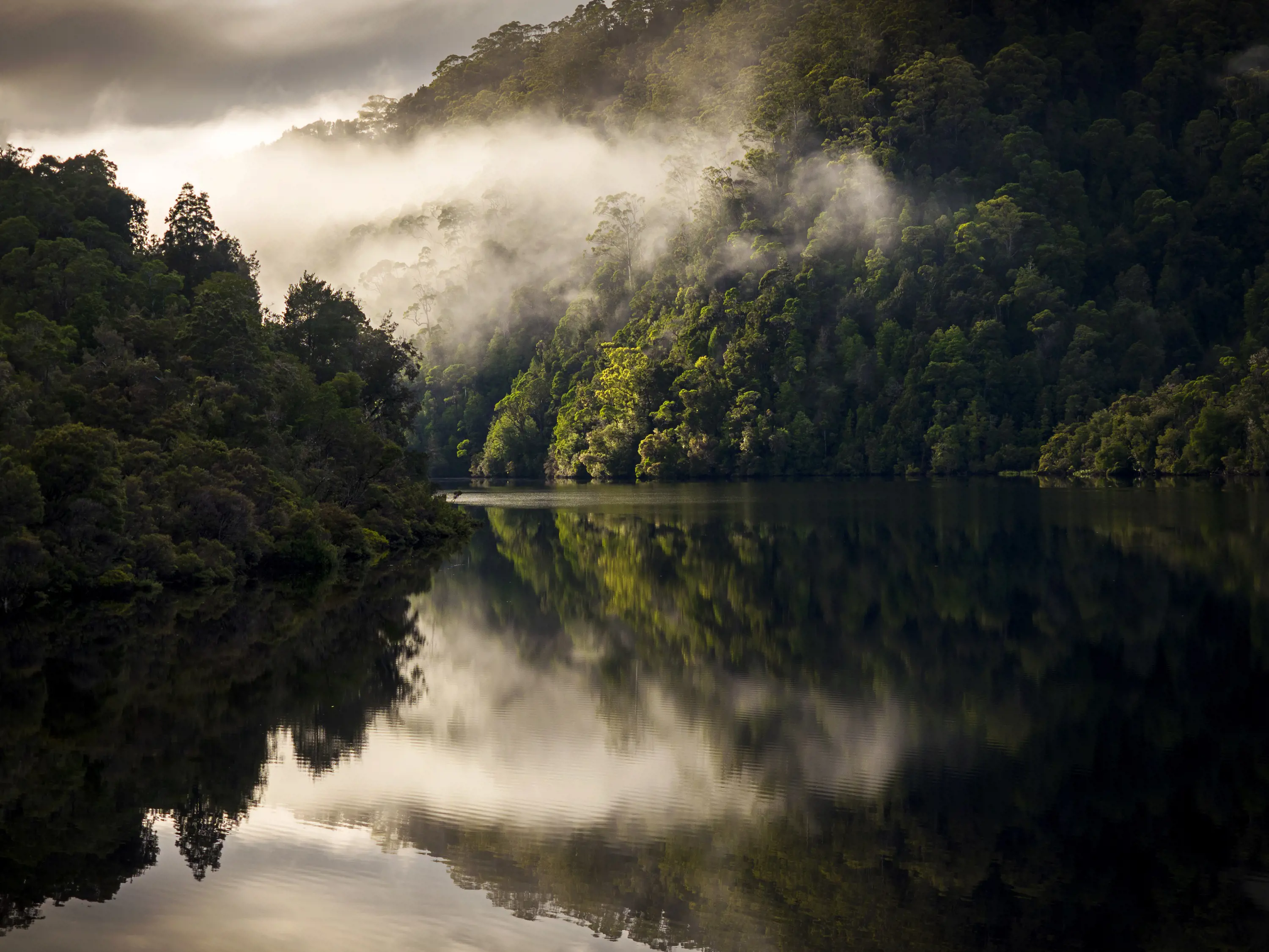 A perfectly still river winds through dense forest, reflecting the sky and surroundings like a mirror.