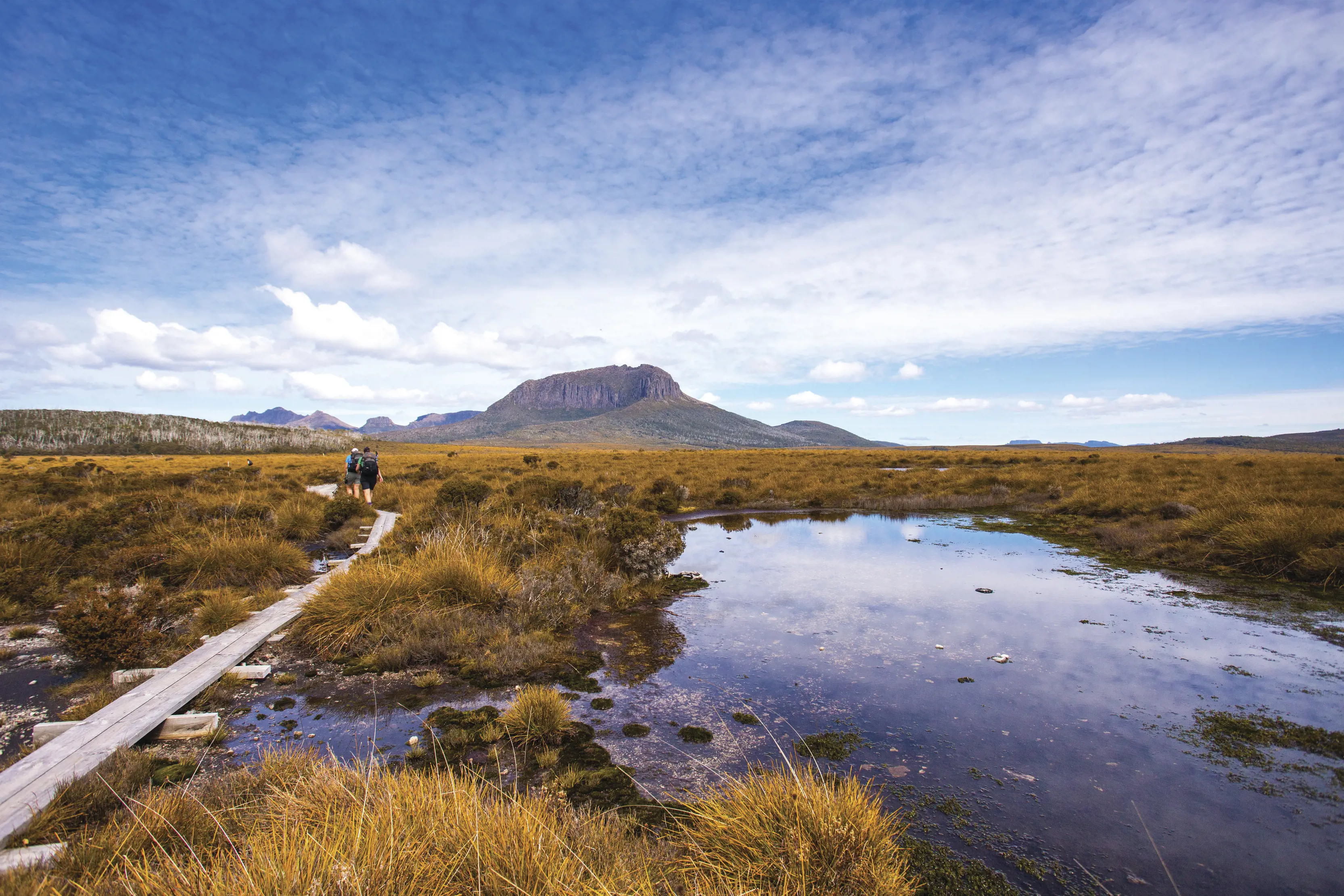 Hikers in the distance on the Cradle Mountain Huts Walk, with mountains in the backdrop.