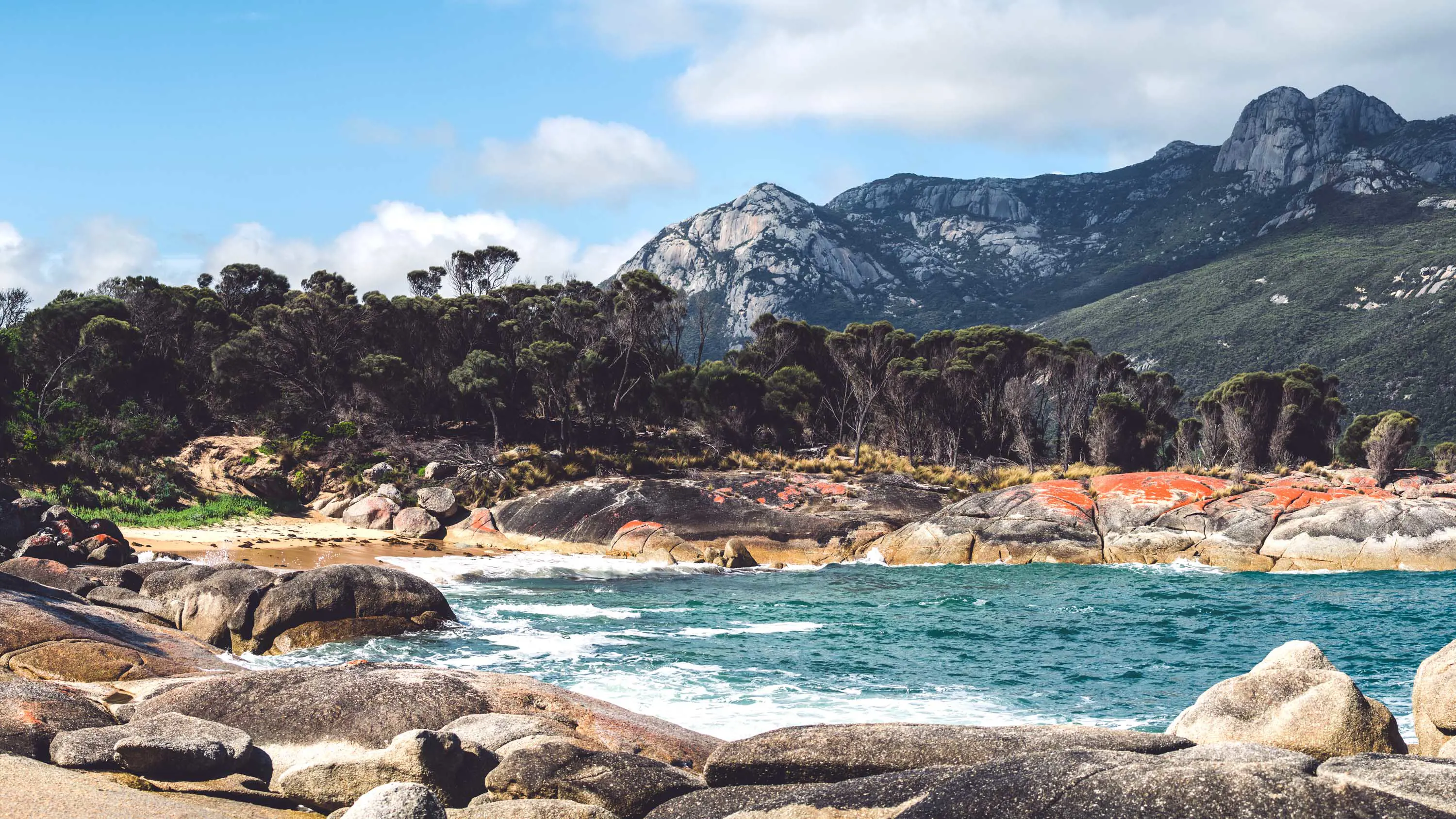 Stunning landscape image of Strzelecki Peaks from Trousers Point, with pristine, blue water and lush, green forest.