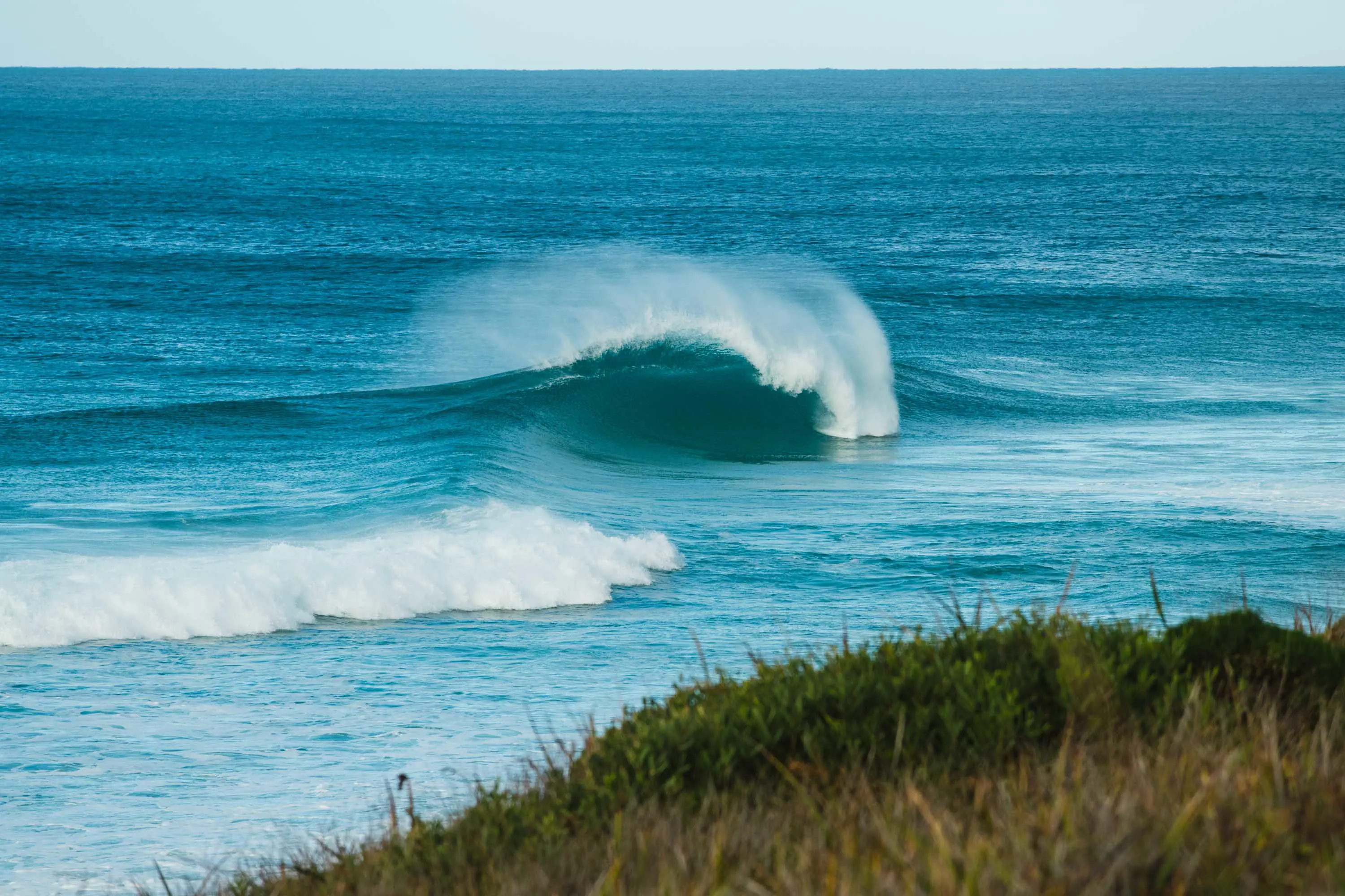 A large wave breaks on waters just beyond a grassy field.