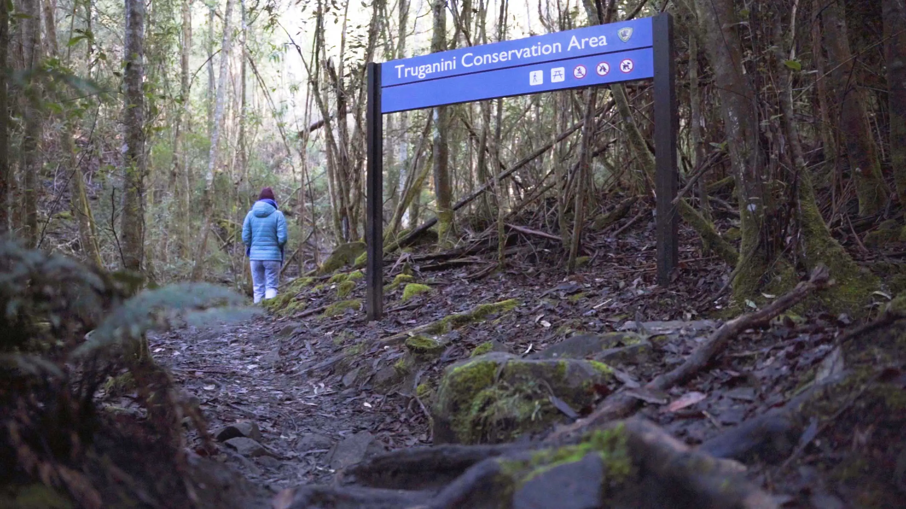 A woman wearing a puffer jacket walks along a track through dense forest.