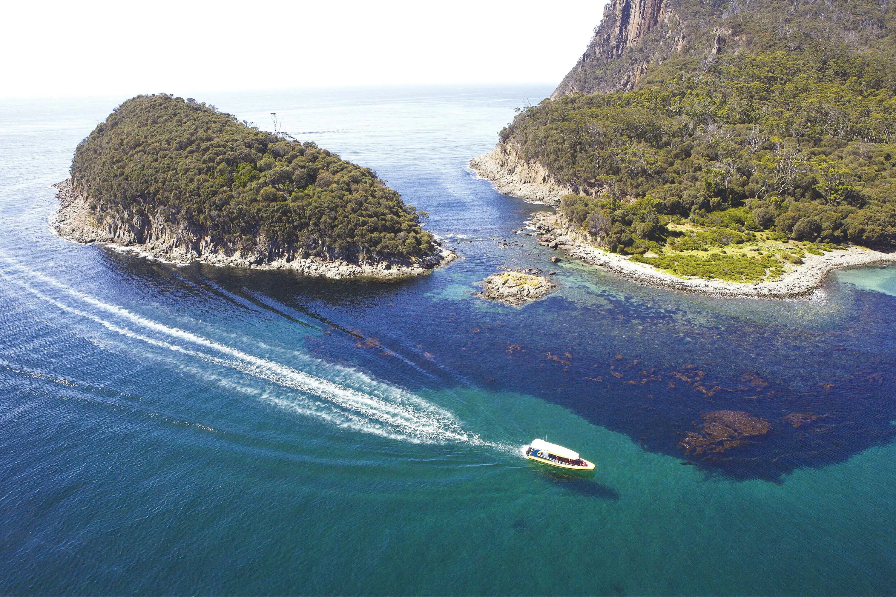 A sleek boat cruises across crystal-clear water, rounding the point of an island with steep cliffs and dense bush.