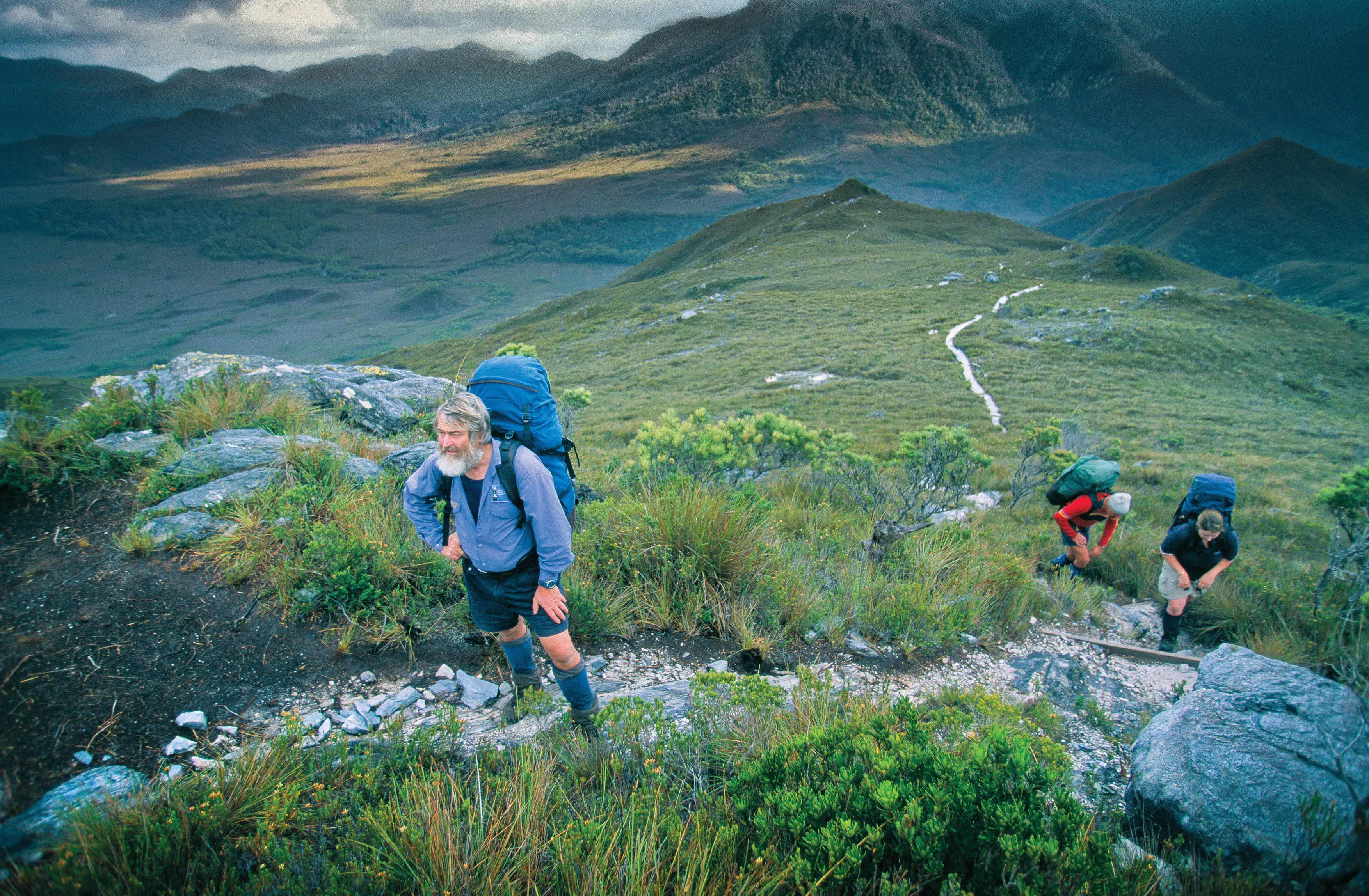 Hikers climb to the peak of the South Coast Track