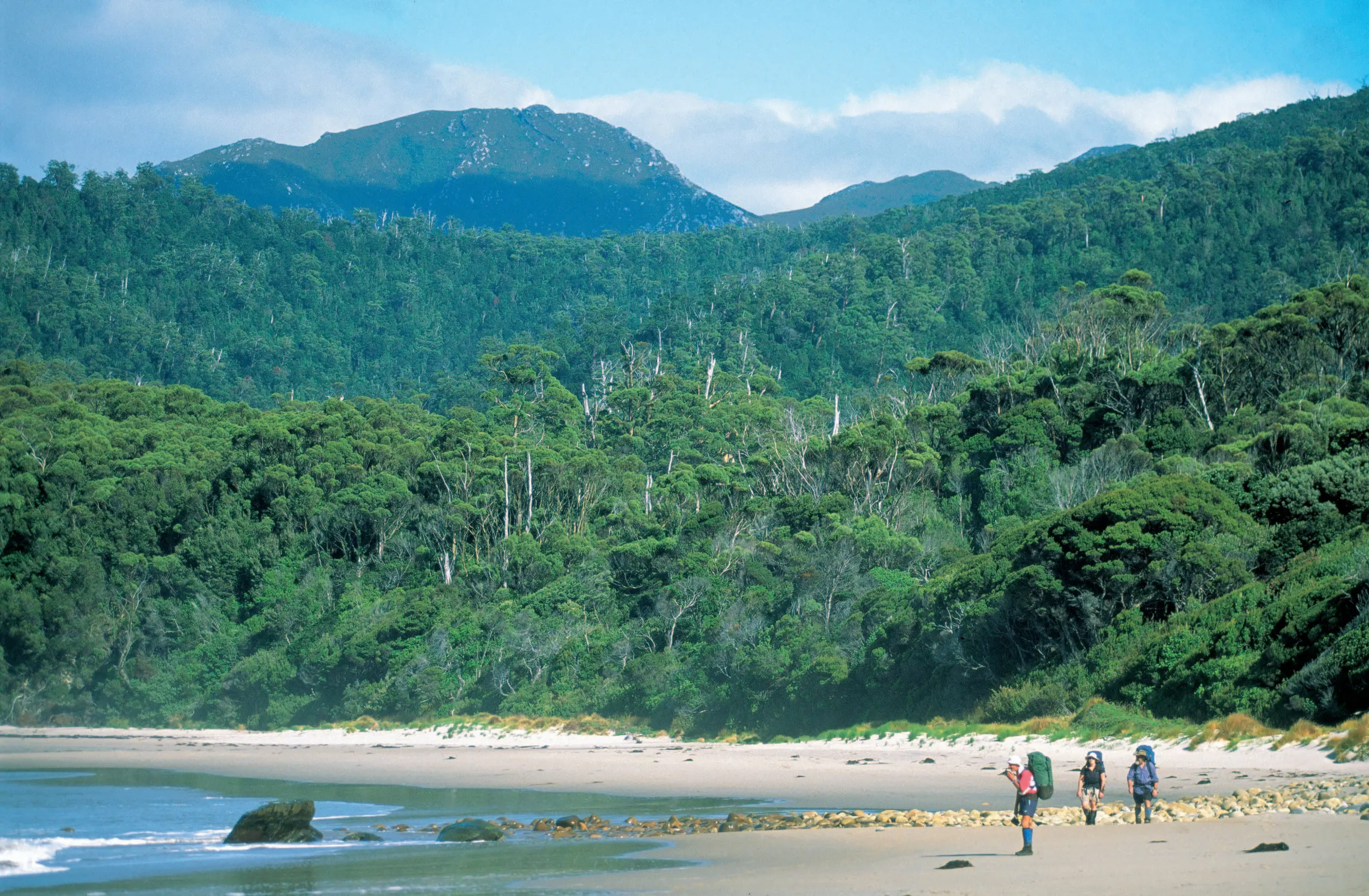 Hikers walking across a beach on the South Coast track.