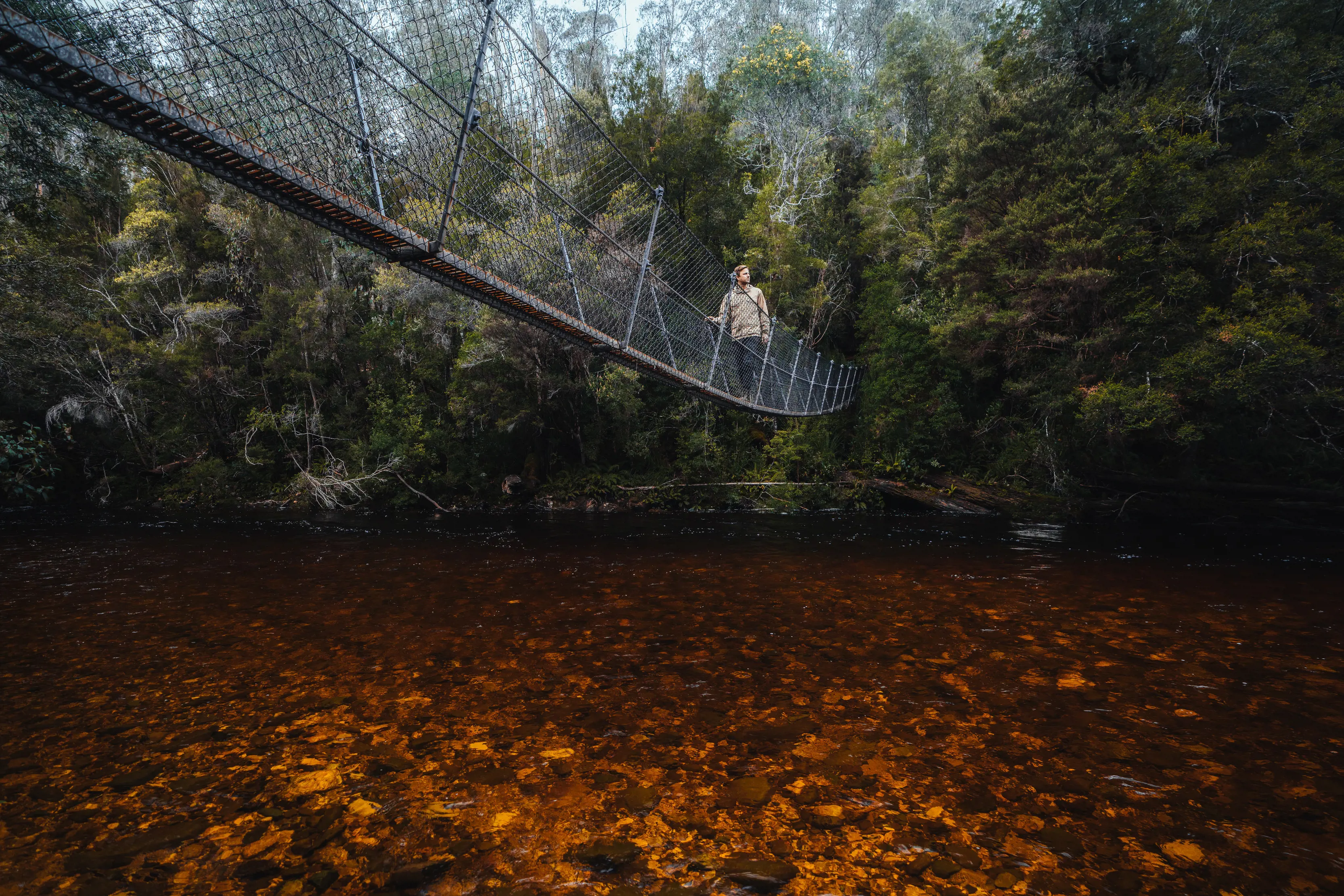 Bridge over the Franklin River - Frenchmans Cap Track