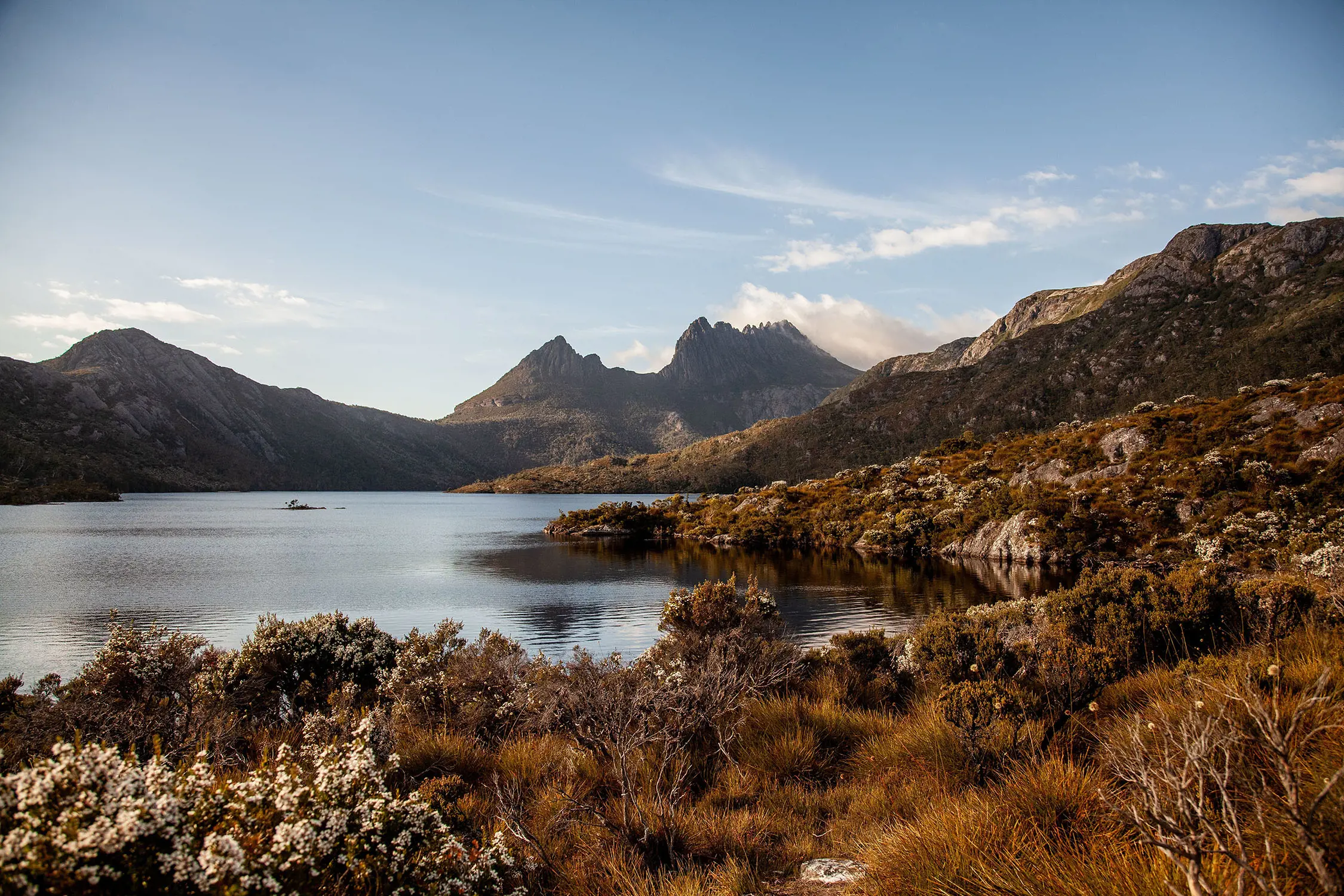 A lakeside scrubby bush landscape with mountains in the background.