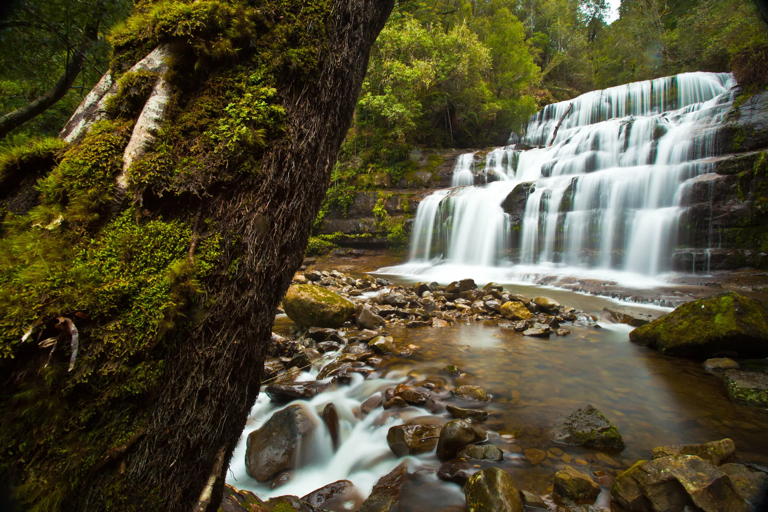 Liffey Falls