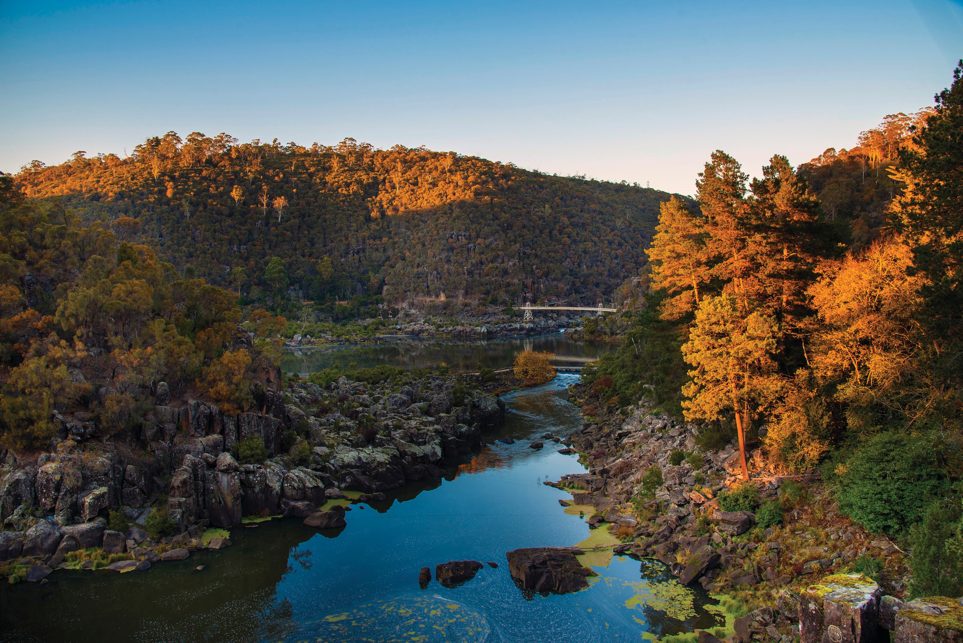 Wide landscape view of Cataract Gorge and Alexandra Suspension bridge