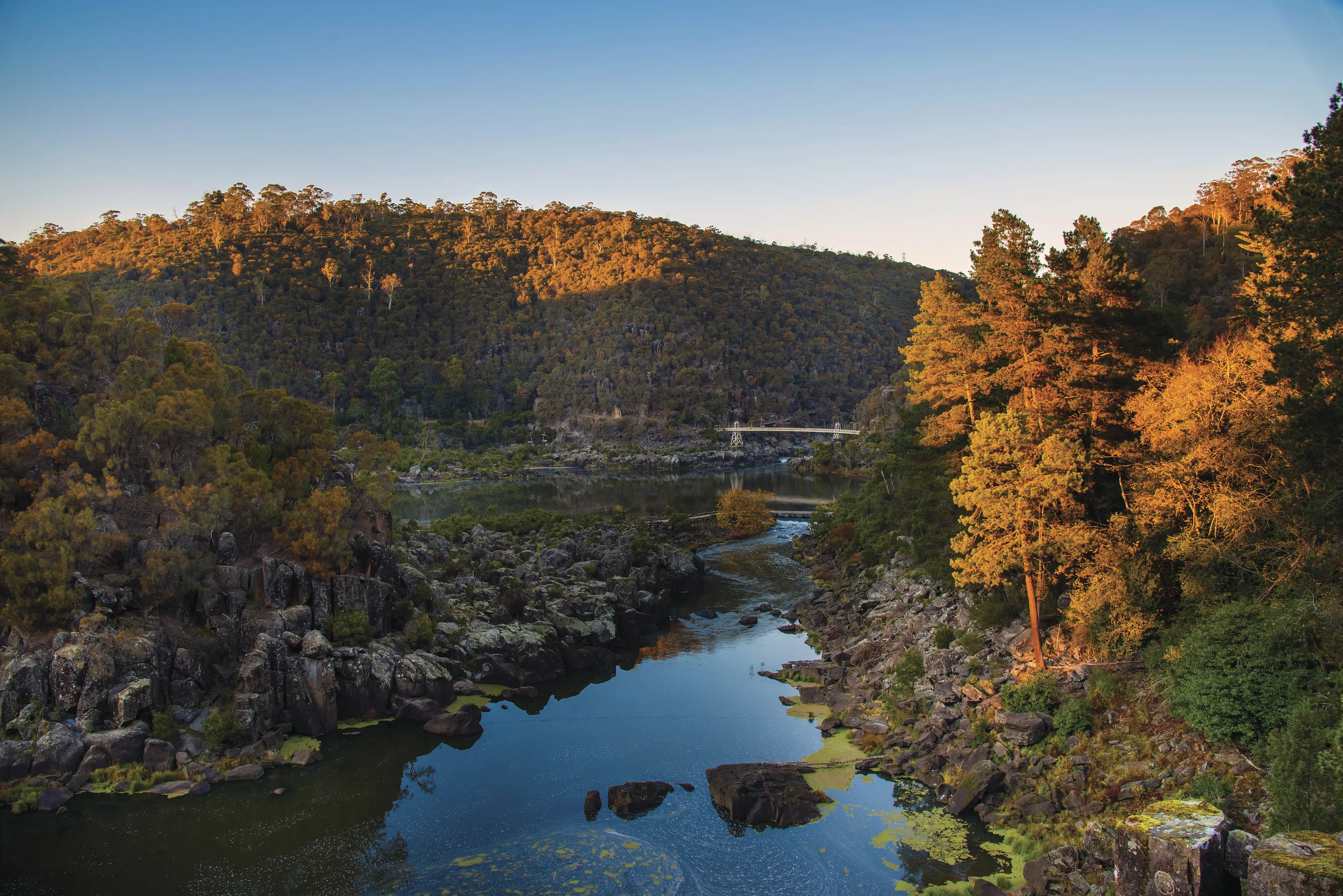 Wide landscape view of Cataract Gorge and Alexandra Suspension bridge