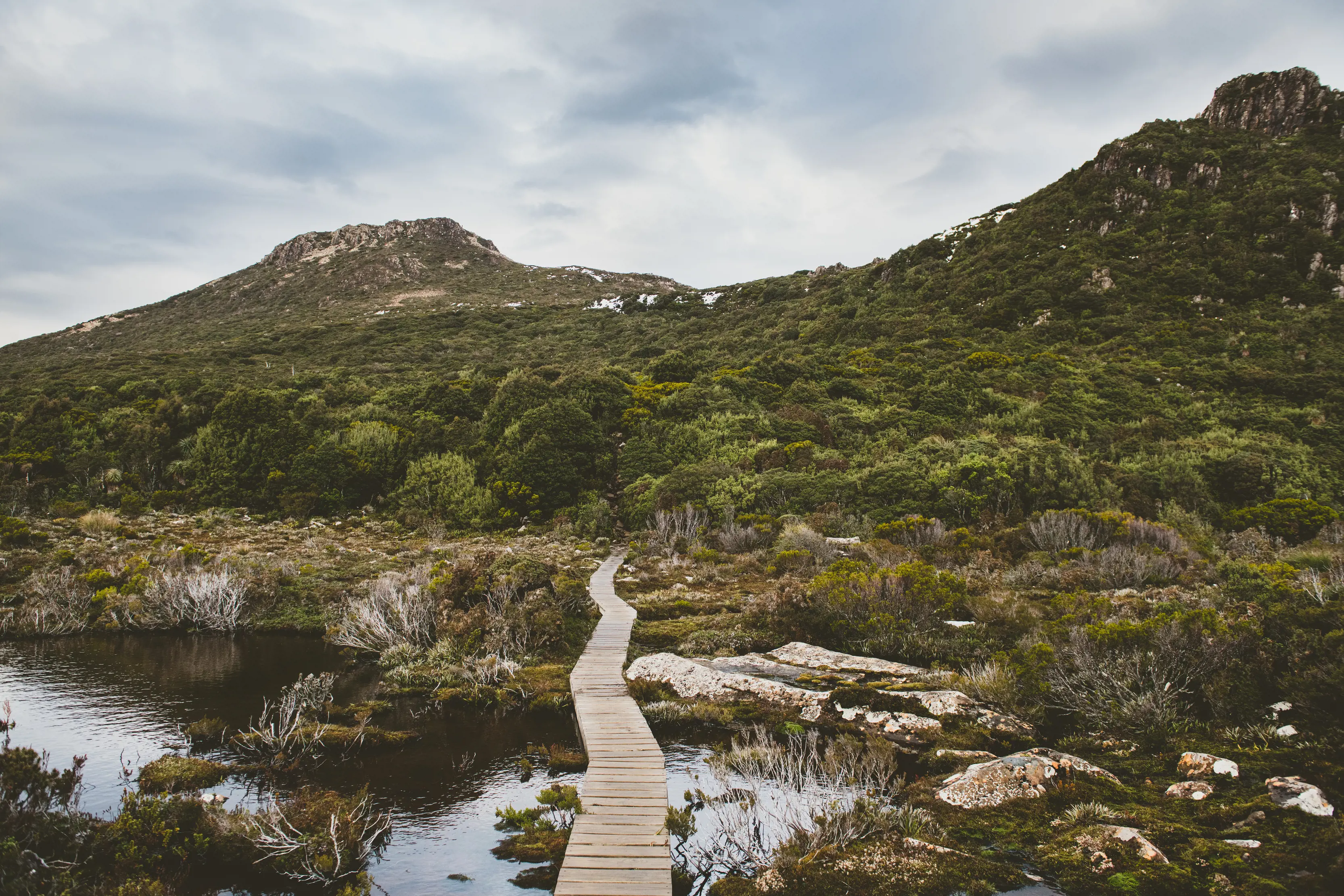 Walking track across the water at Hartz Peak Walk, Hartz Mountains National Park