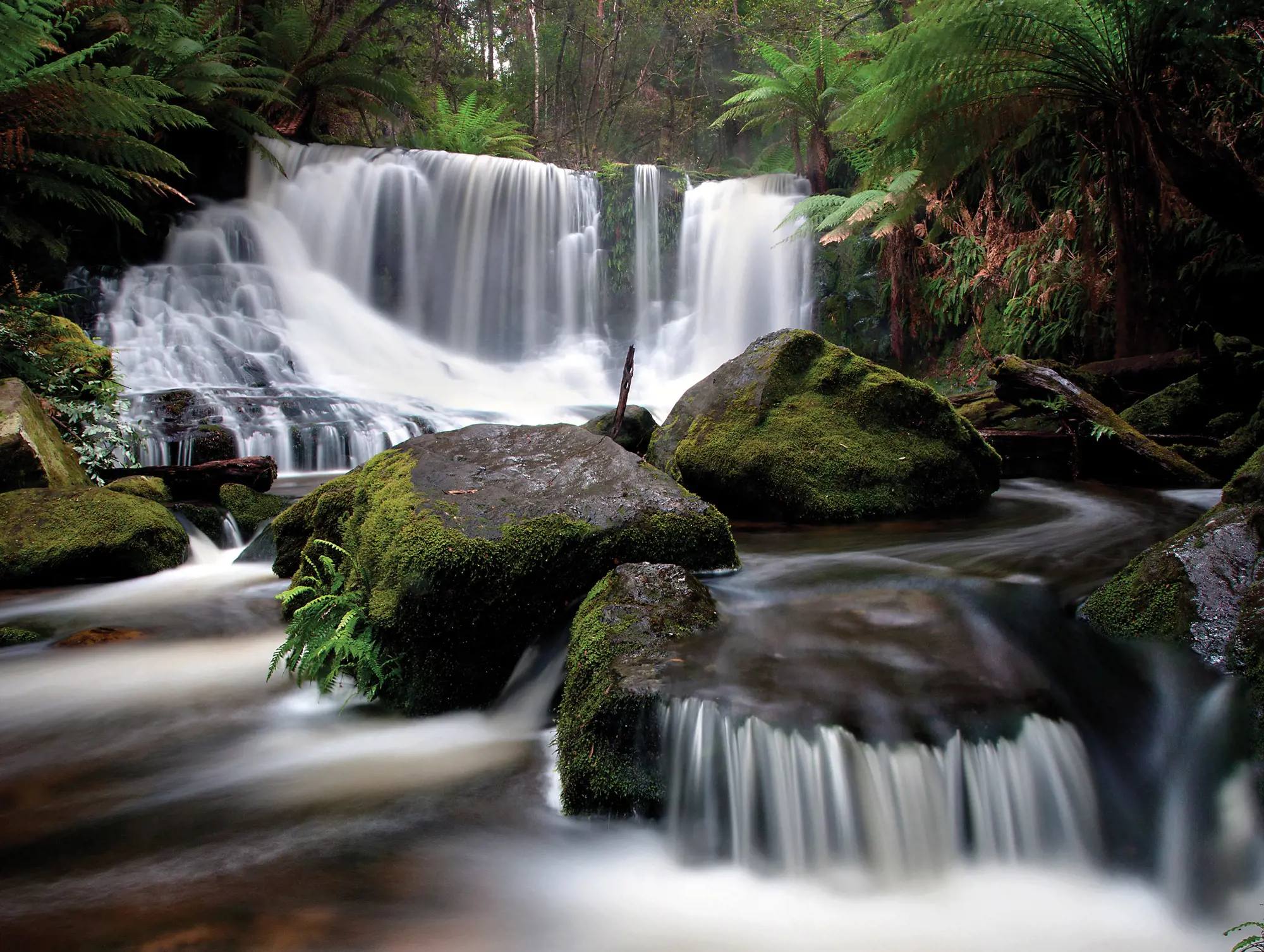 A waterfall in dense rainforest, divided in the middle curves water in a pool and across rocks.