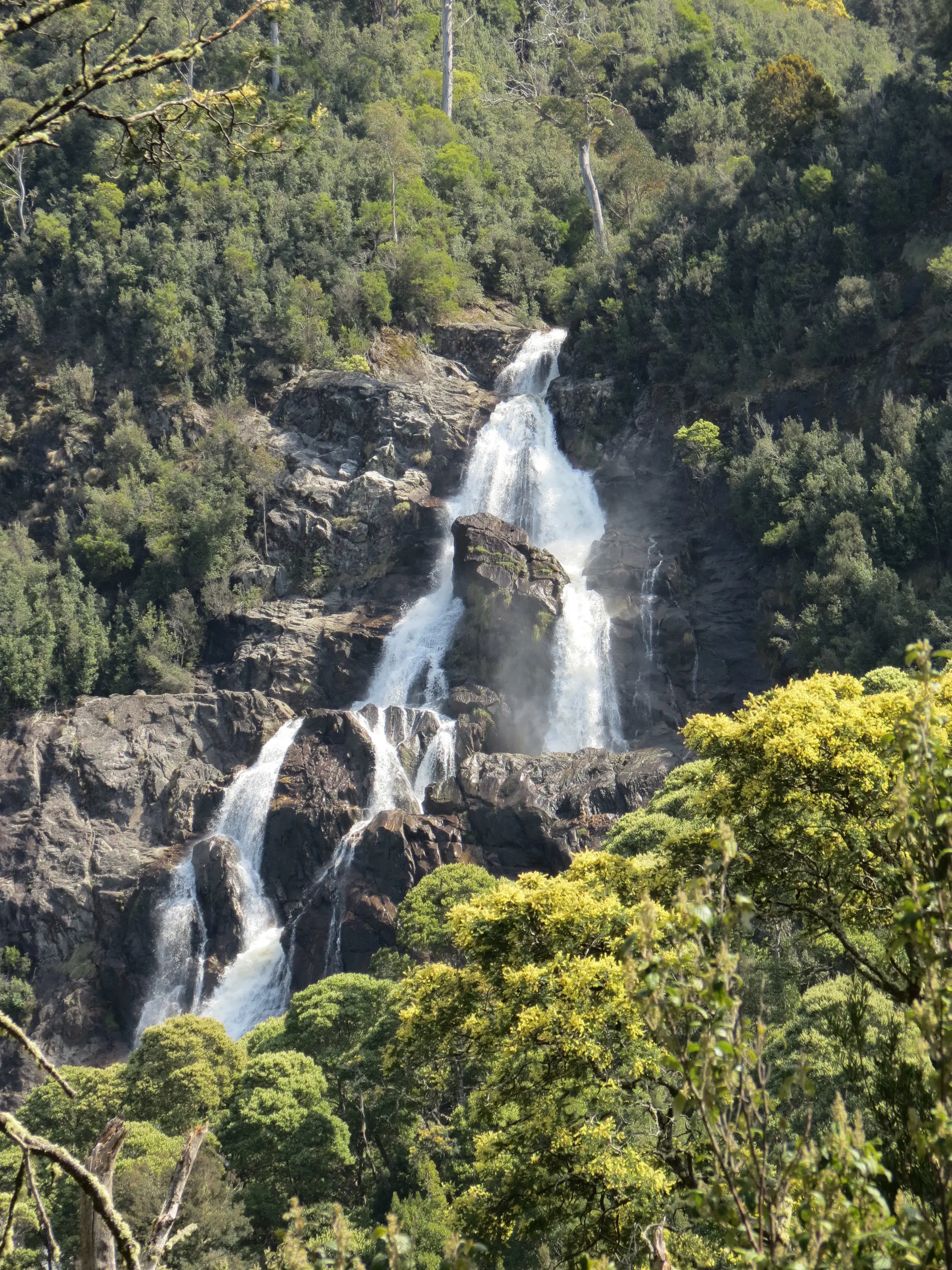 Spectacular image of St Columbia Falls from a distance, surrounded by forest.