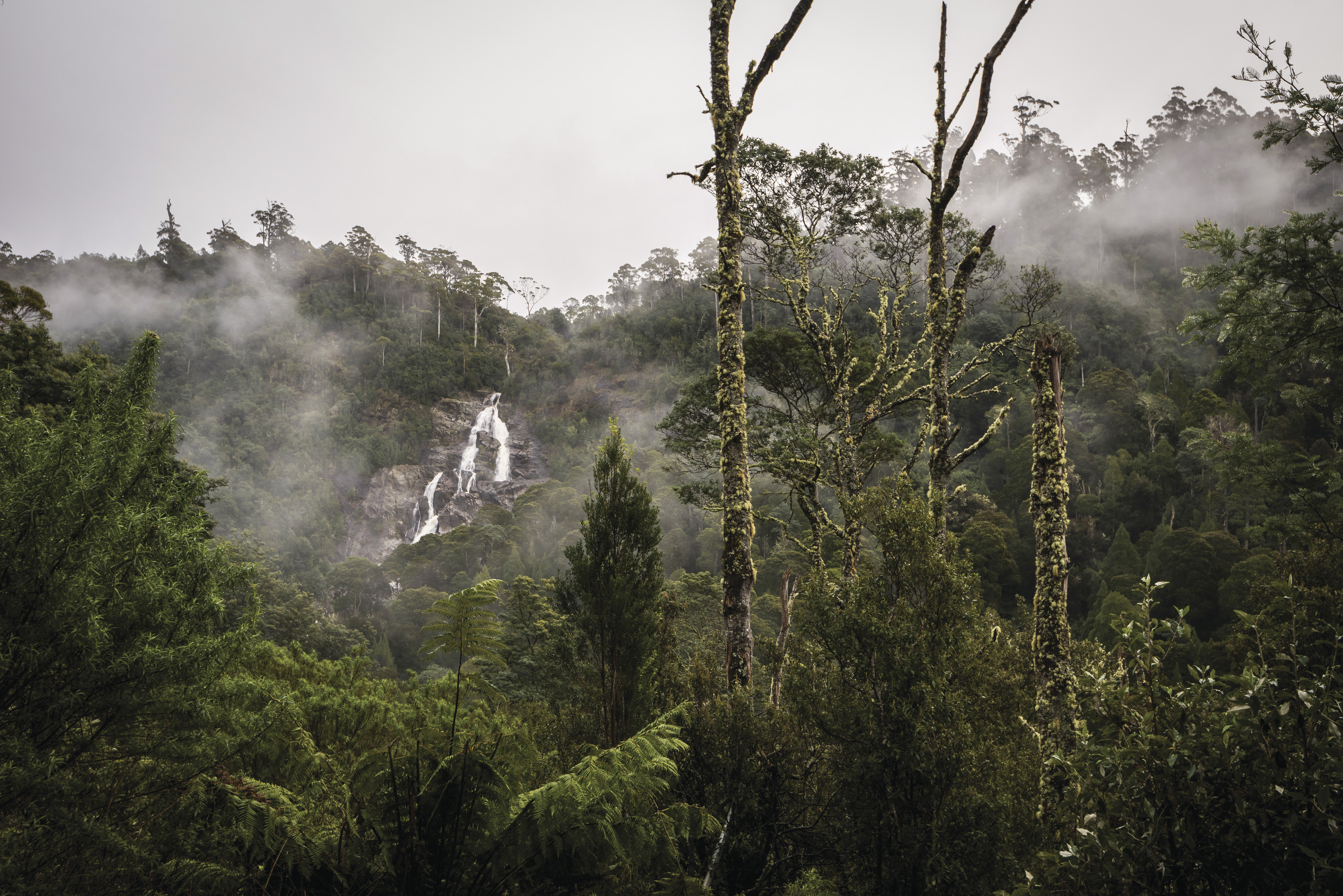 Aerial shot capturing the mist above St Columba Falls State Reserve