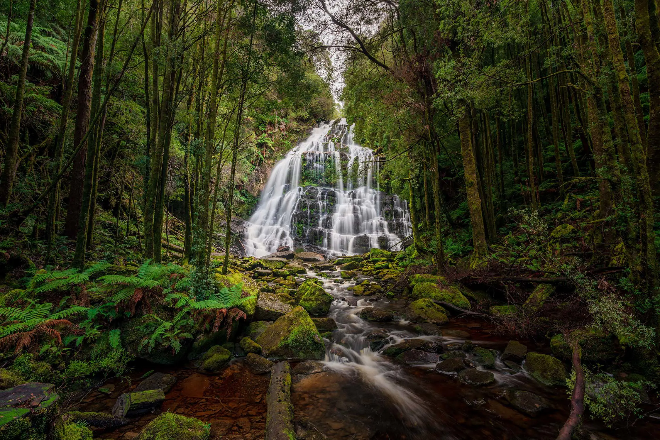 The foot of Nelson Falls, a tall, cascading waterfall over several levels, surrounded by greenery.