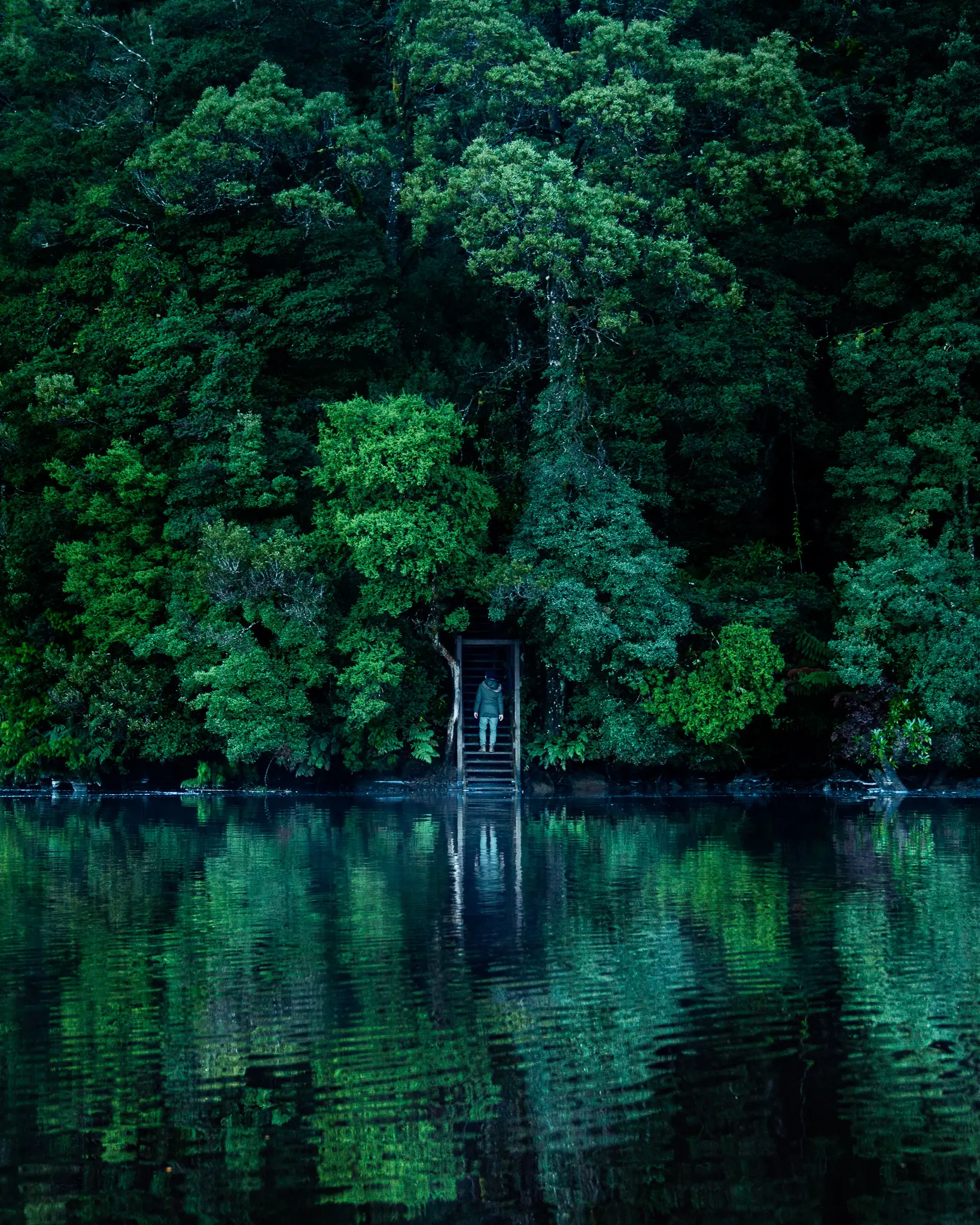 Person walking down steps to Pieman River, taken from across the river, the view reflects in the water.