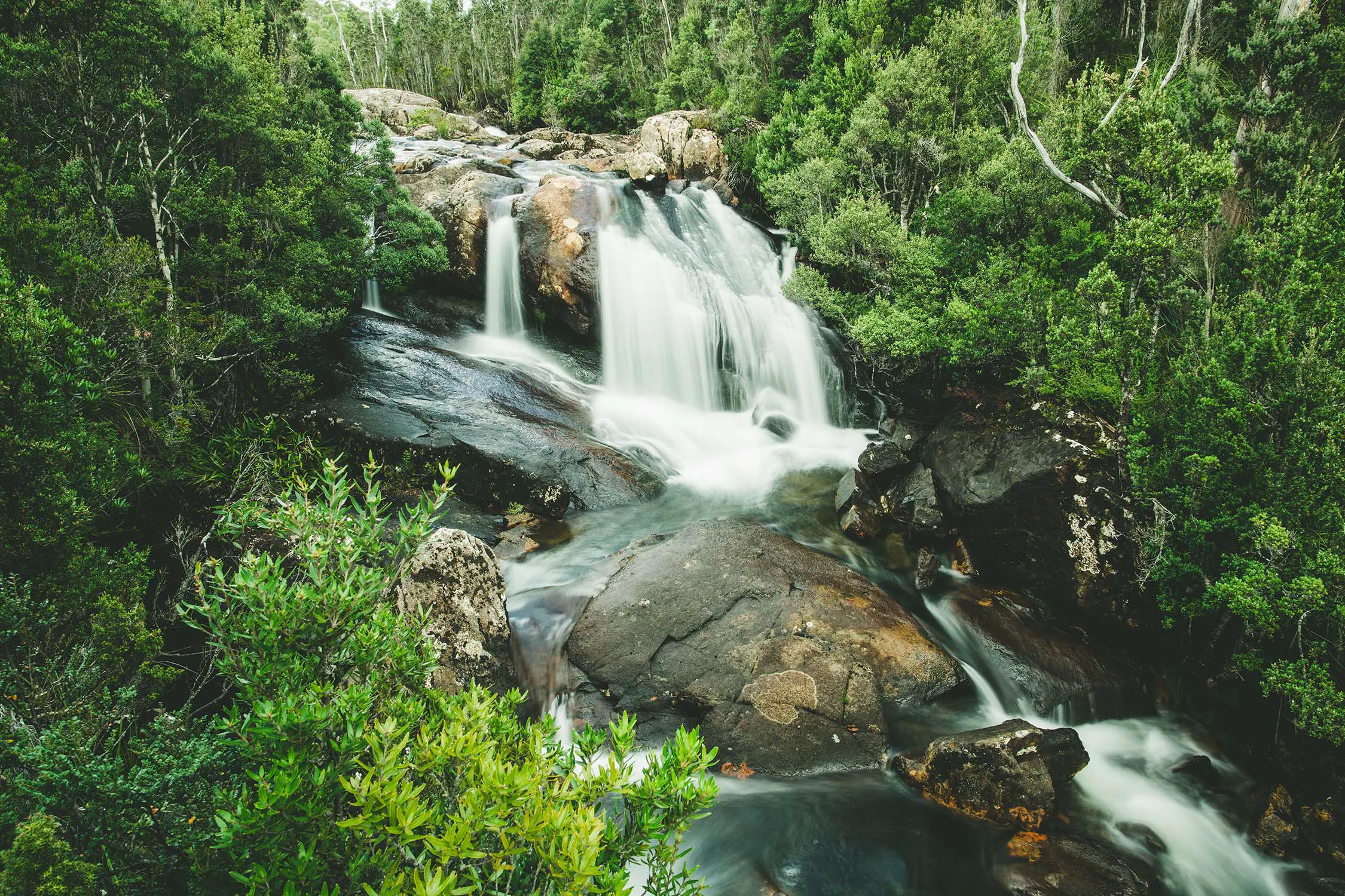 A small fast-flowing waterfall cascading through large boulders, surrounded on both sides by dense forest.
