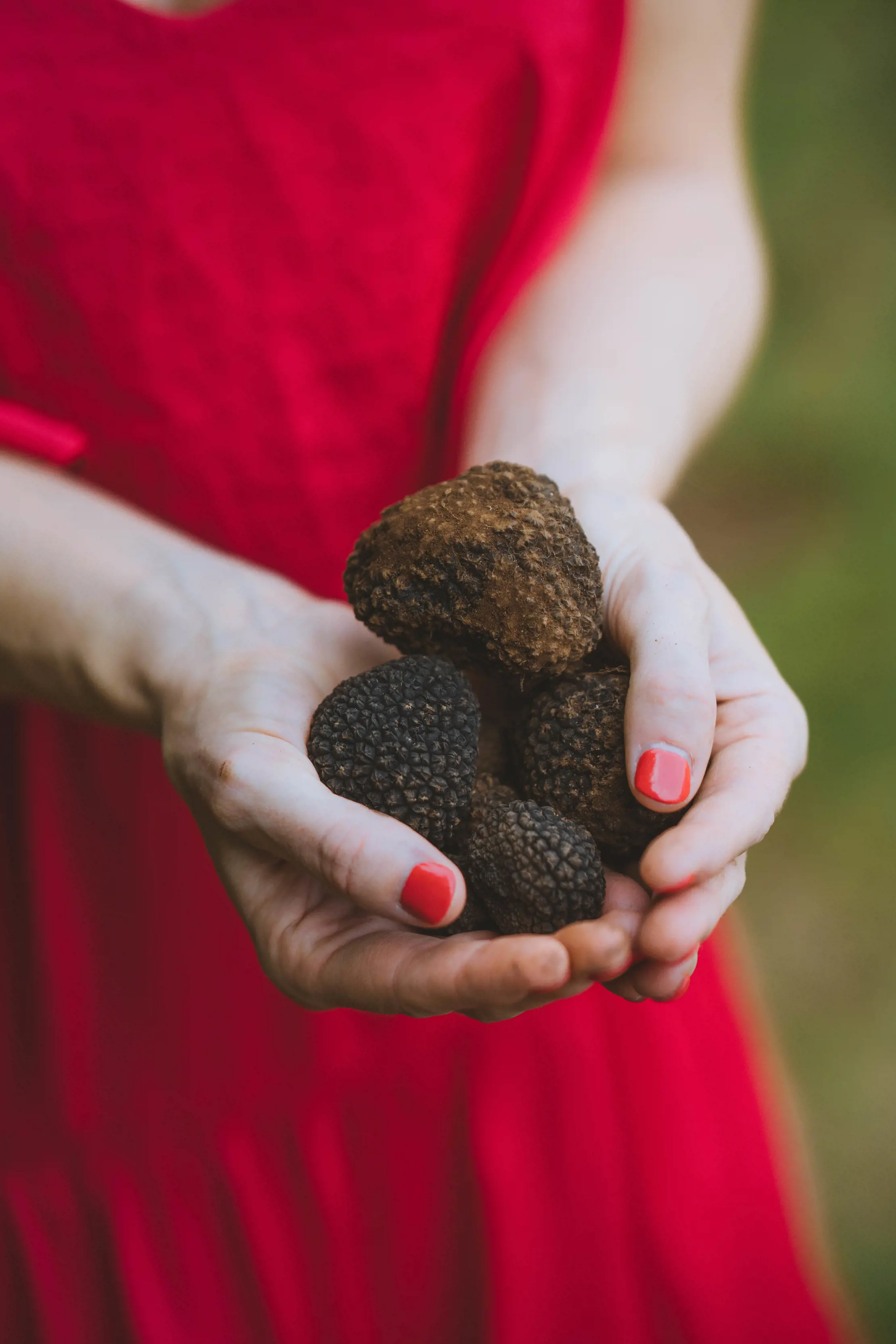 Close up of a women in a red dress with red painted nails holding truffles in her hands.