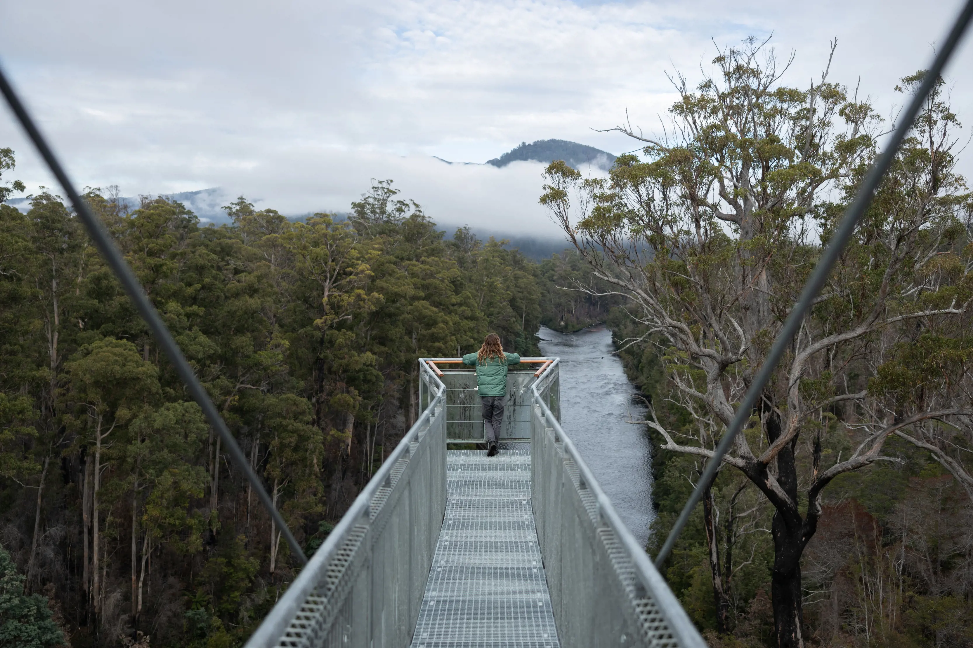 Tahune Airwalk, Tahune Adventures