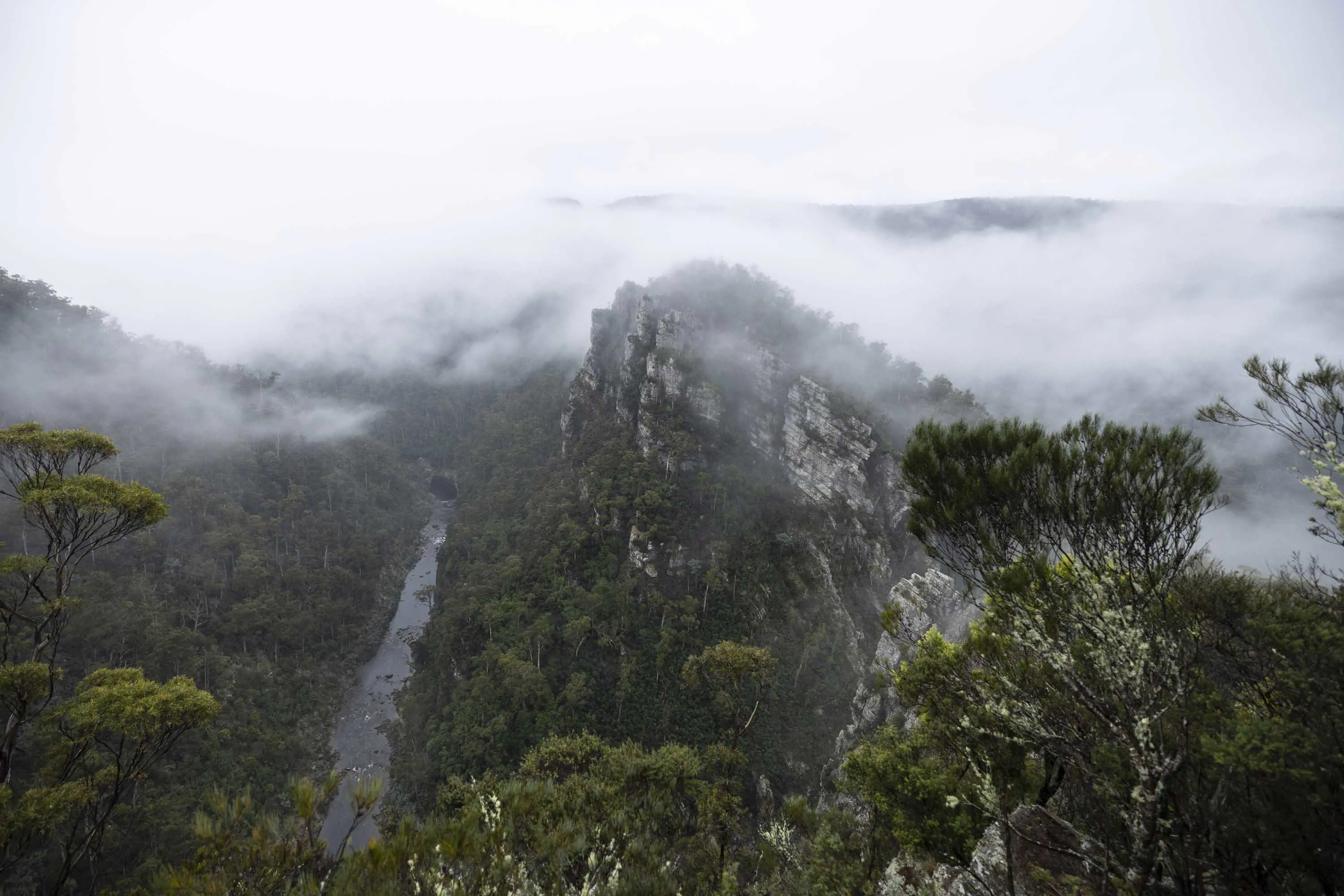 A mountain range if thick trees with a river, covered in low-hanging clouds.