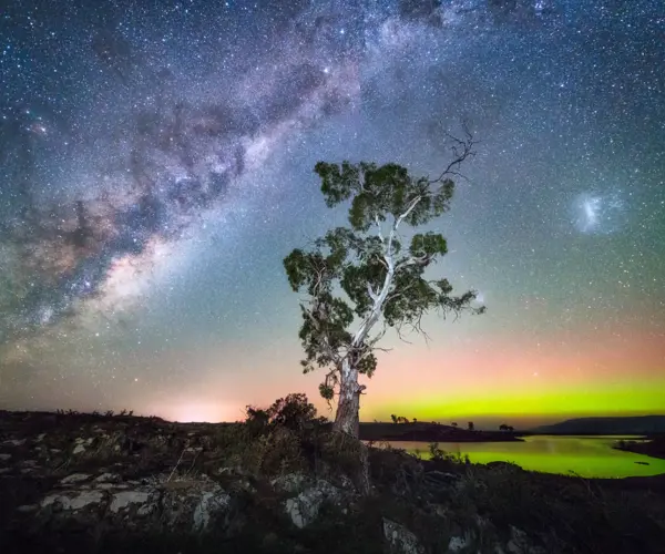 Glow-in-the-dark Tasmania with Lisa Gershwin