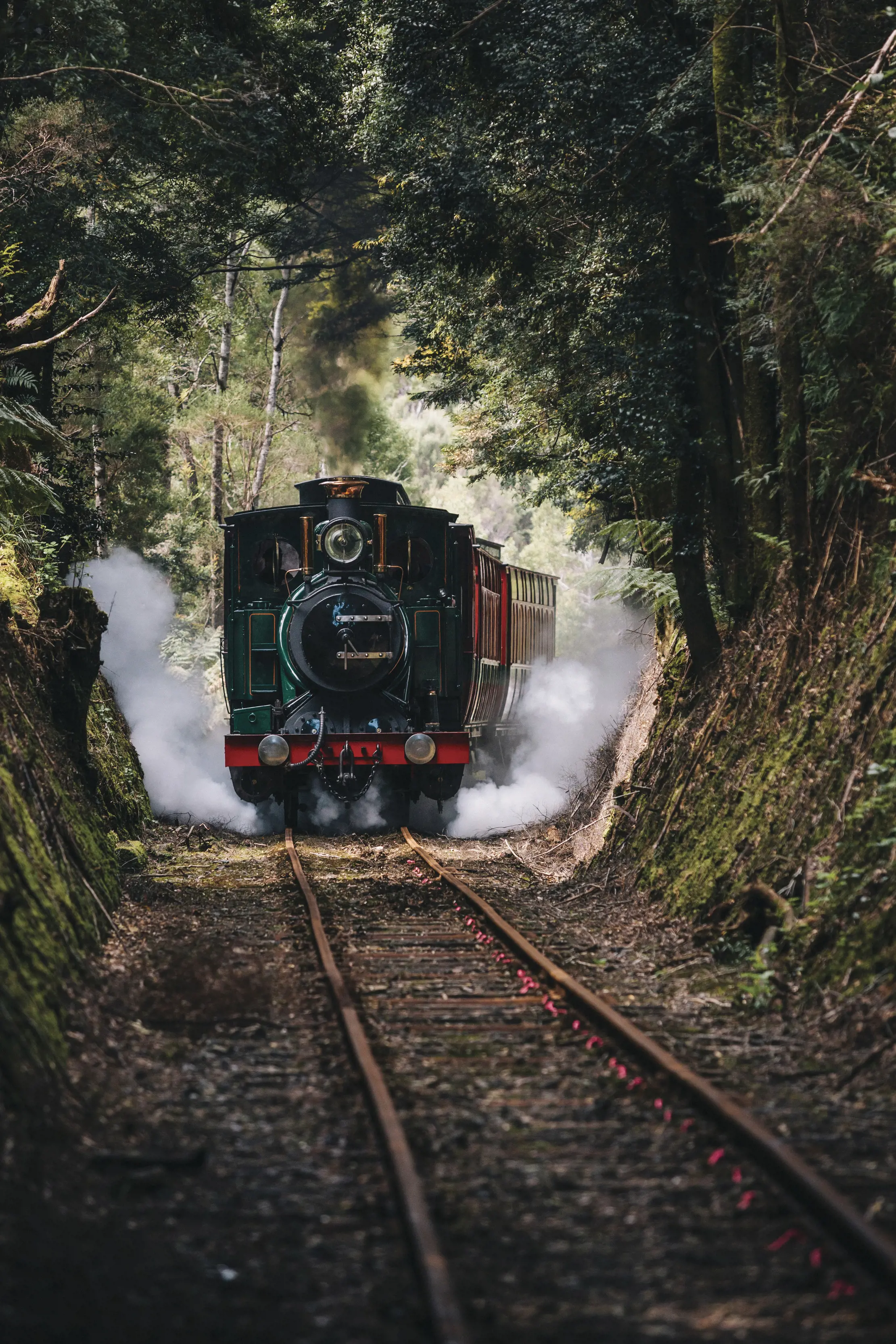 West Coast Wilderness Railway