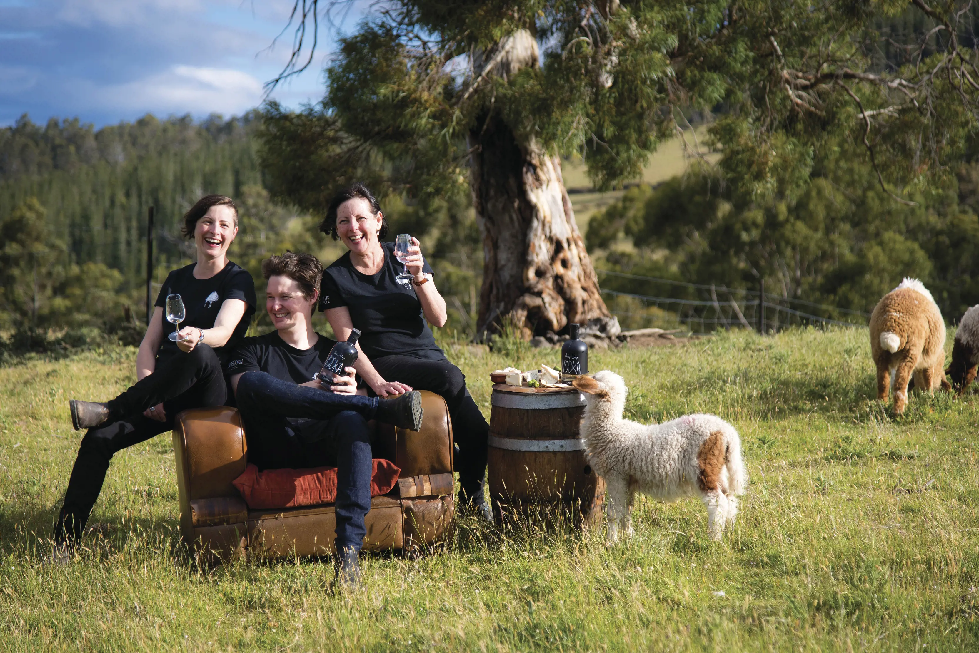 Three distillers sitting in a field with drinks at Hartshorn Distillery, Birchs Bay.