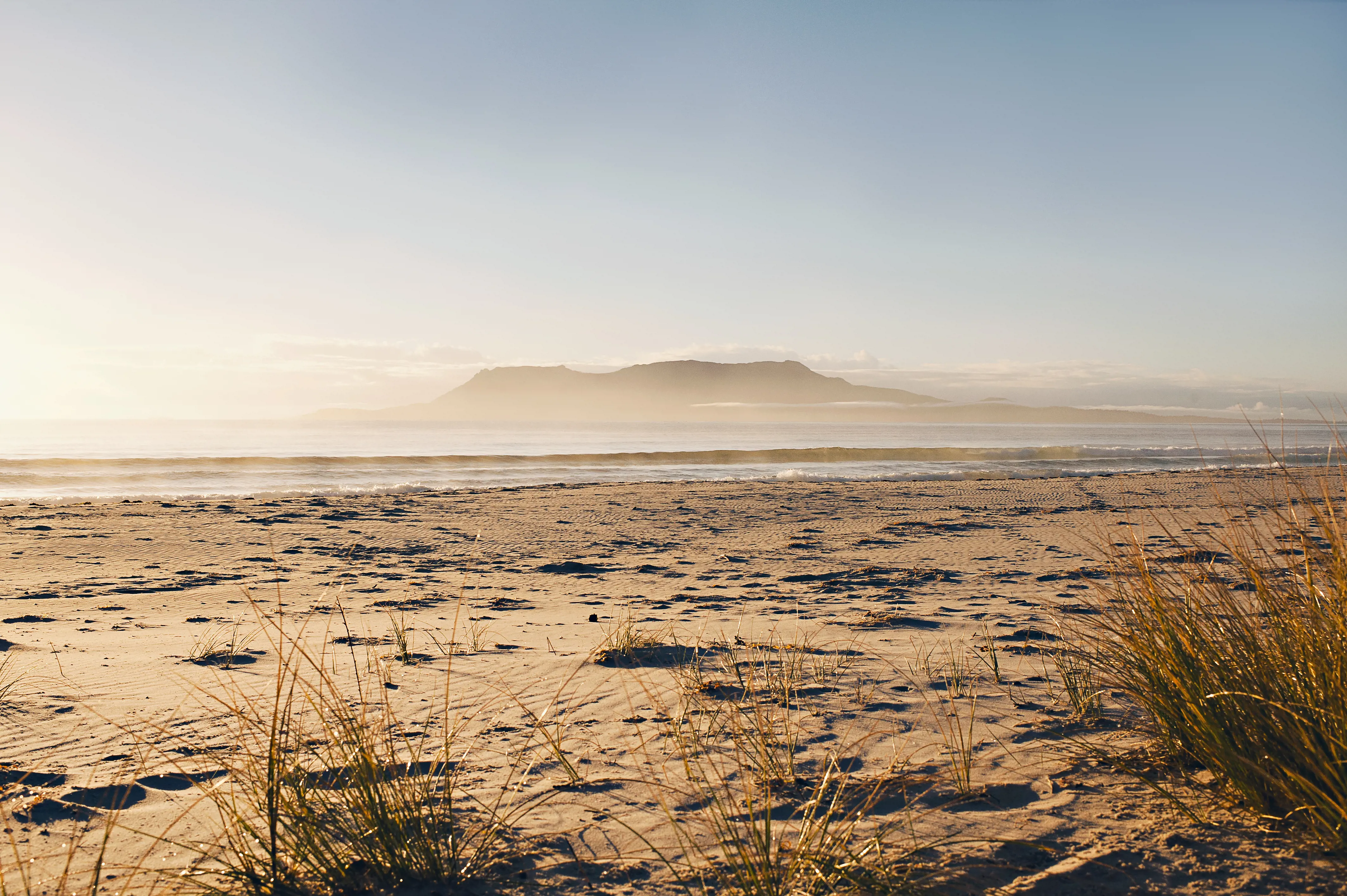 Grass and sand on Spring Beach with Maria Island in the background.