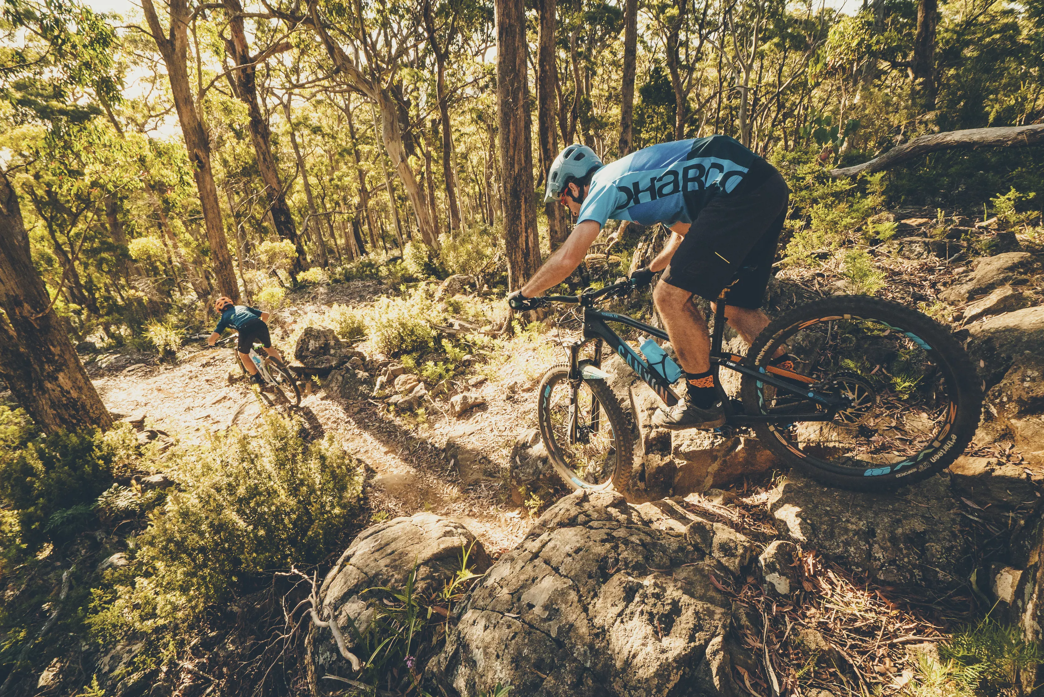 Cyclists on a decline on the Ginger Ridge Trail, Hollybank Mountain Bike Park