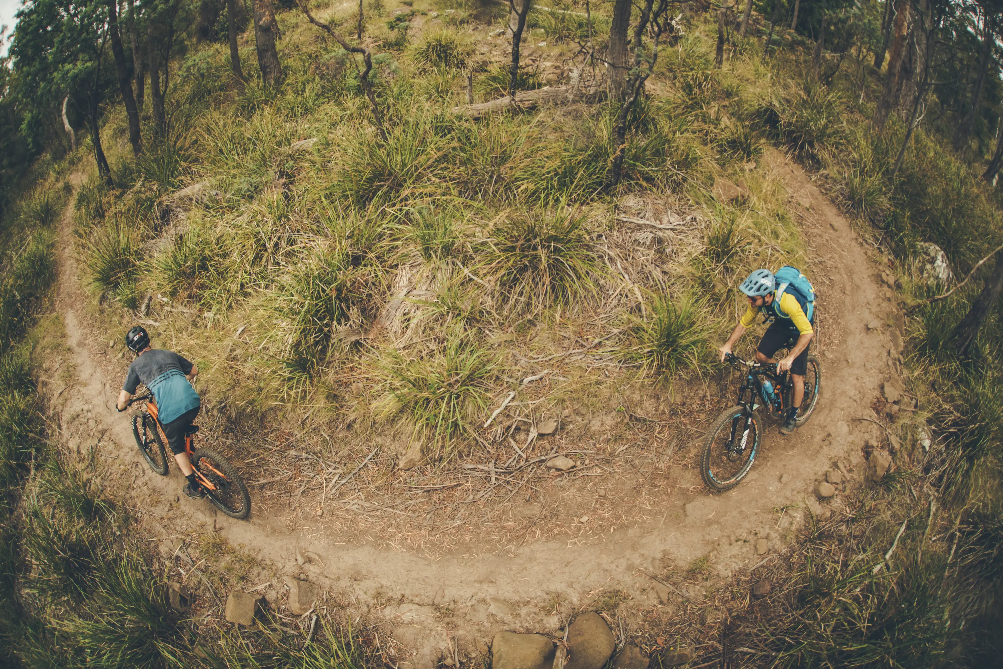 Aerial view of two mountain bikers going around a bend in Trevallyn Nature Recreation Area