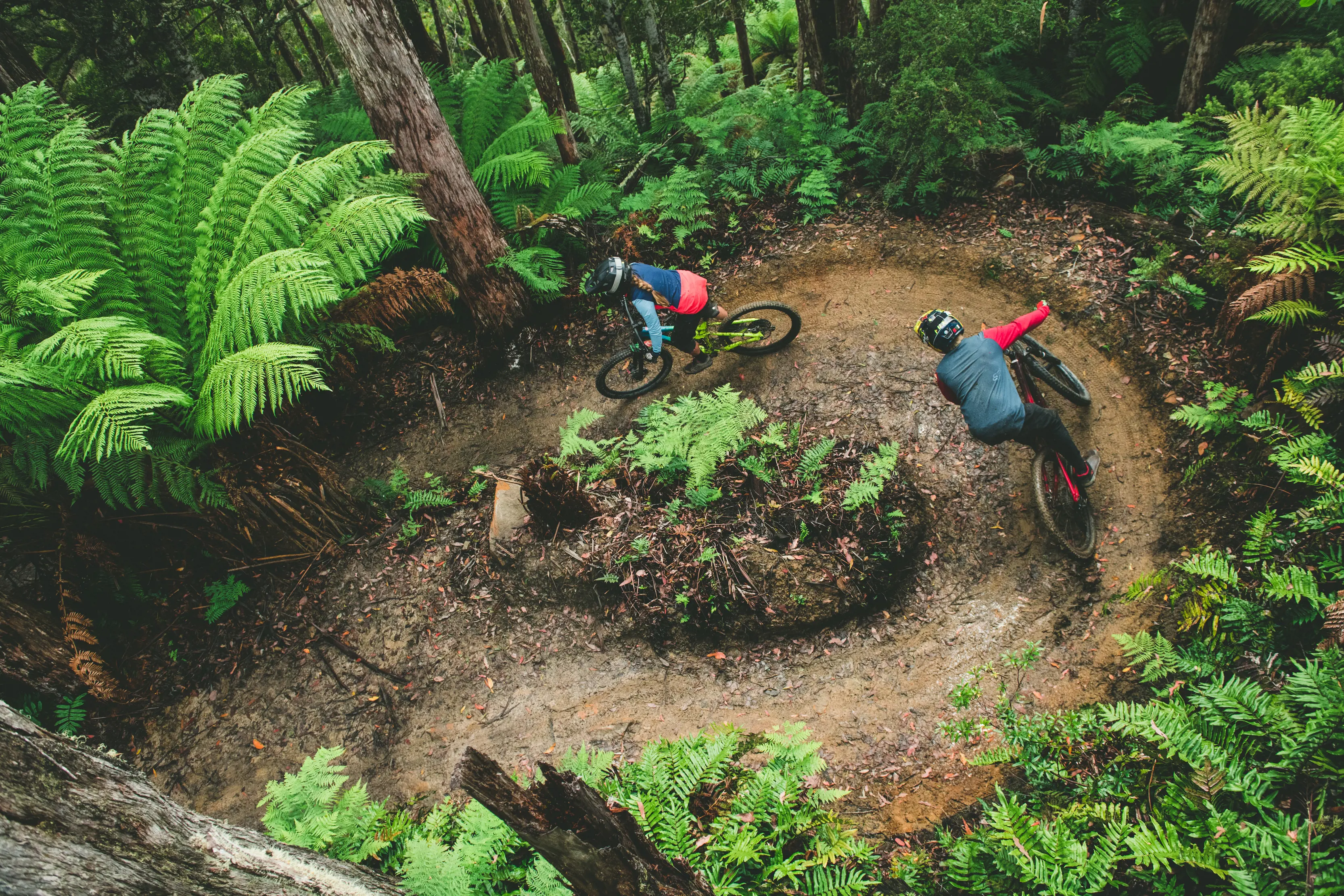 Aerial view of cyclists going around a bend at Maydena Bike Park, the track is surrounded by rainforest