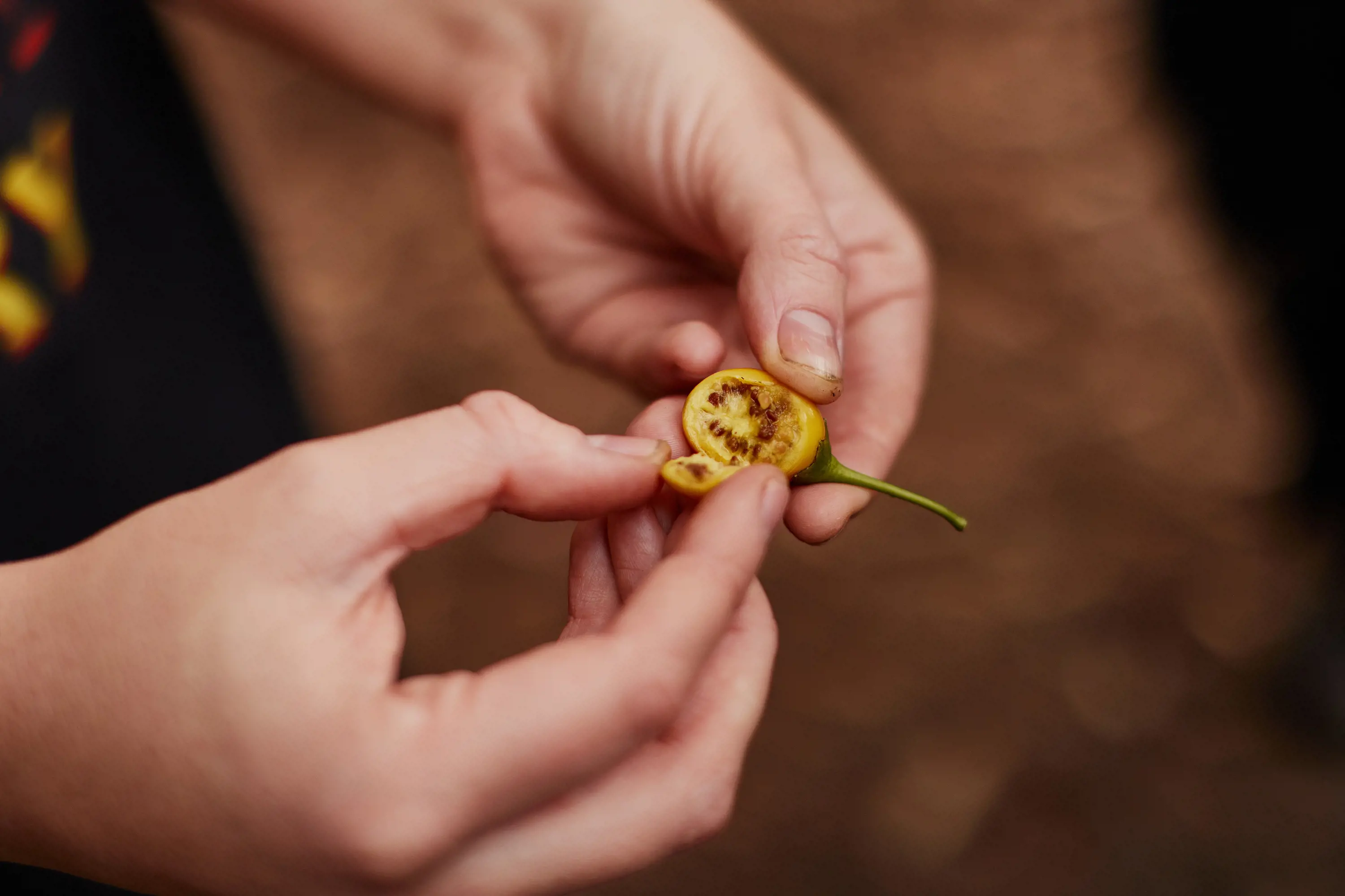 A person's hands holding open a small yellow berry-like food, with seeds and a green stem.