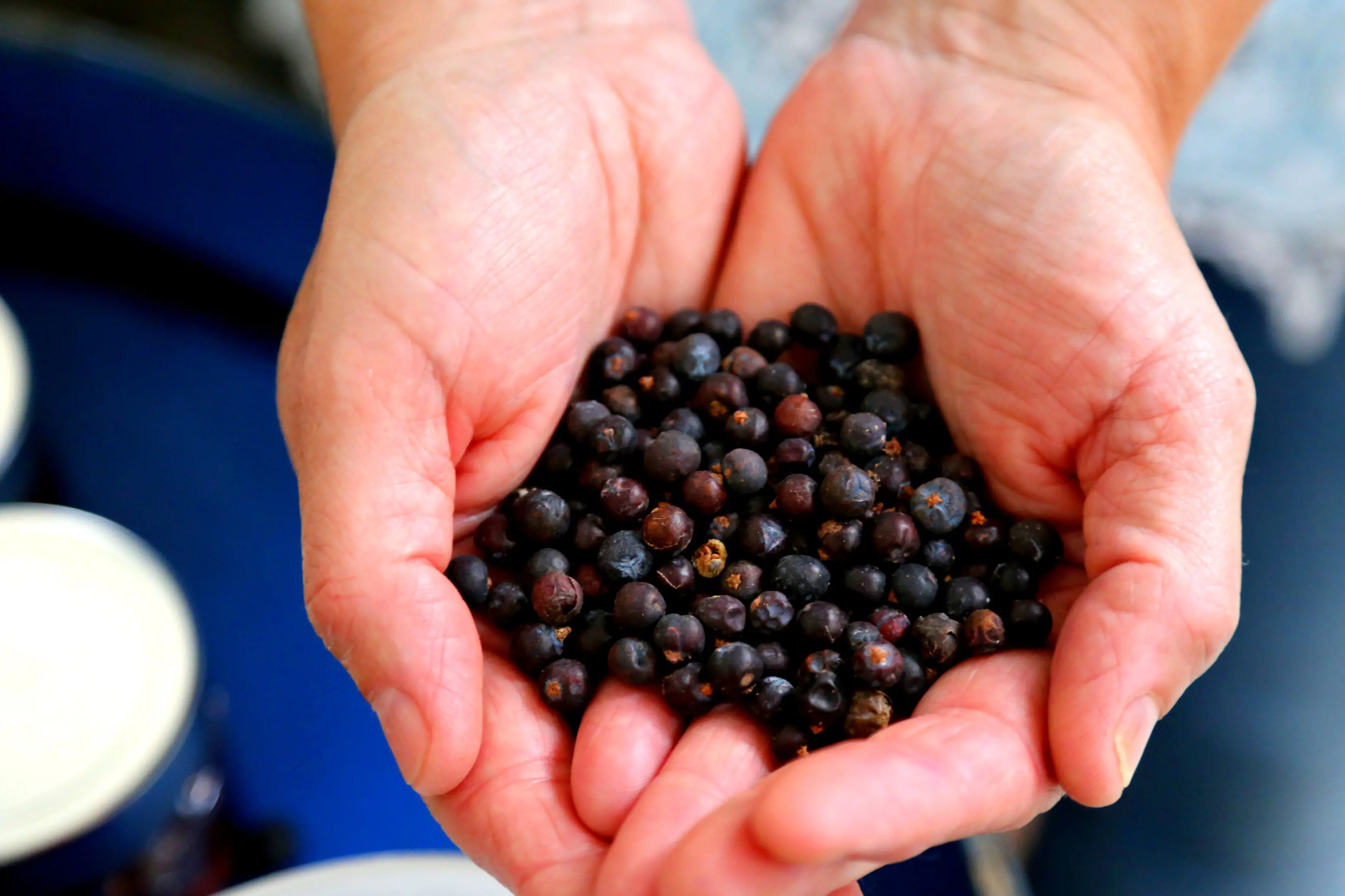 Close up of grains in hands at McHenry Distillery.