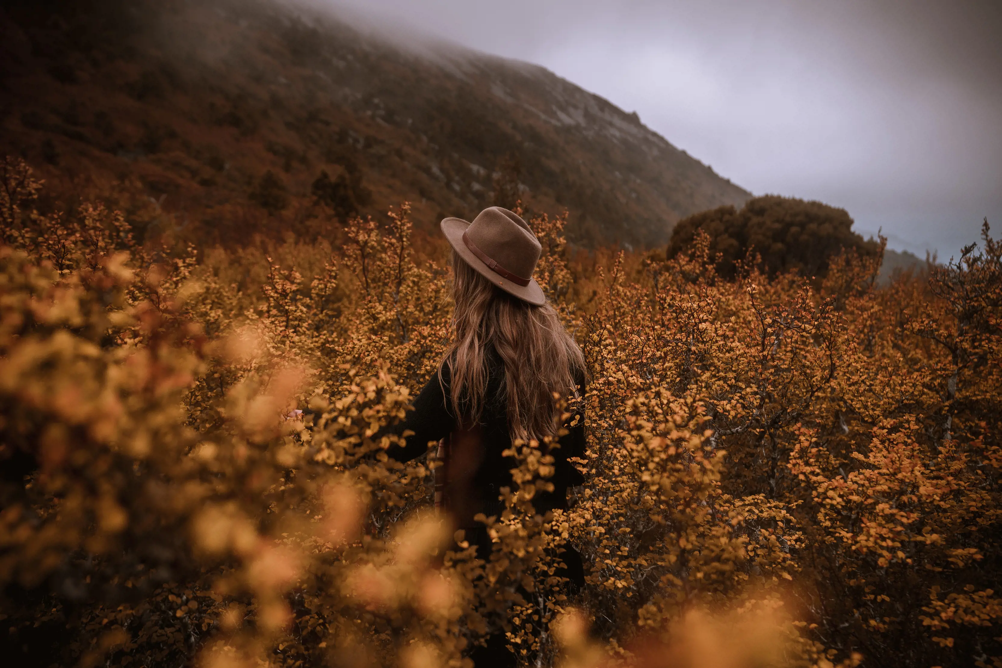 A woman walking through the Deciduous beech, Nothofagus gunnii, or Fagus trees at Cradle Mountain