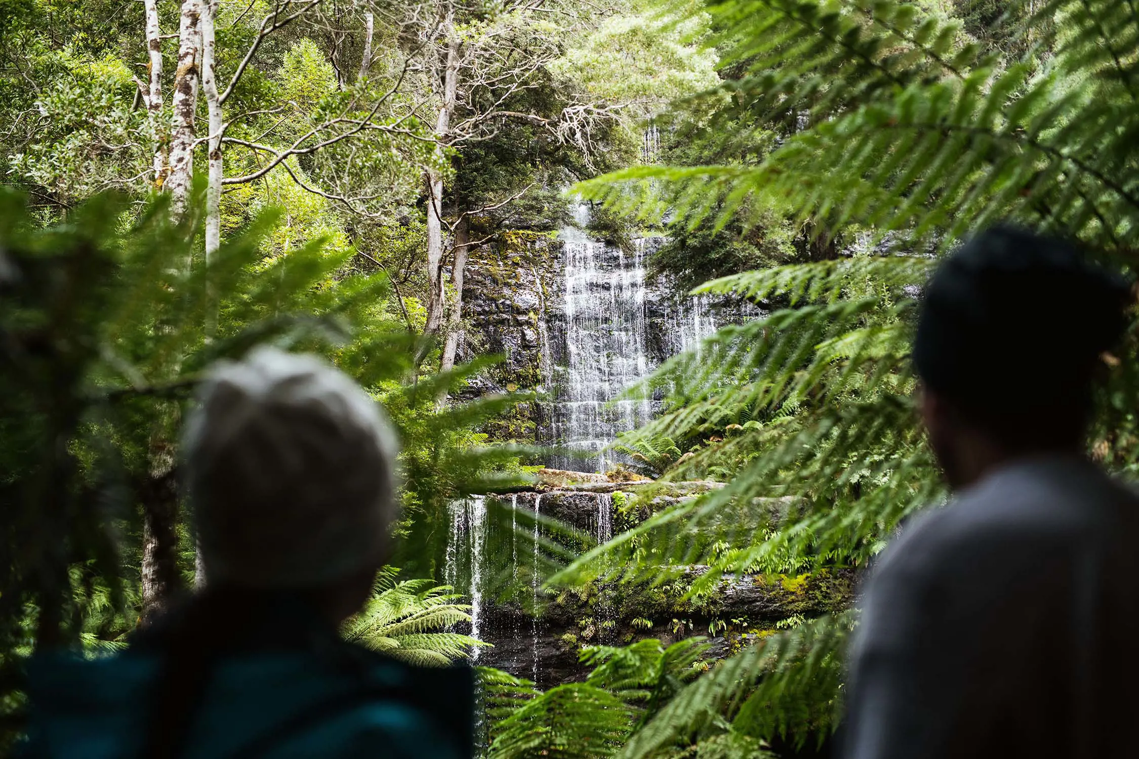 Looking over the blurred silhouettes of two people, to a view of a beautiful slow-dripping waterfall cascading over several layers of rocks. The view is framed by leafy green ferns.