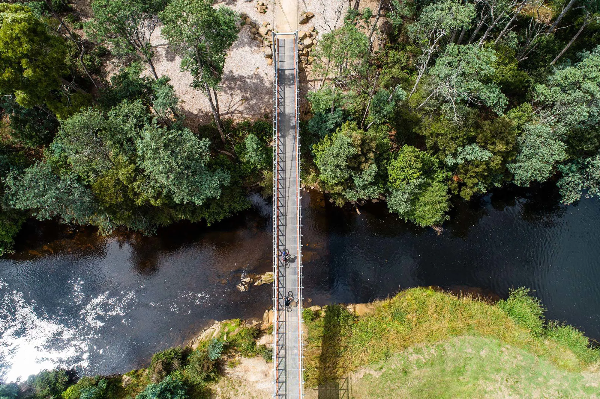 A top-down view of a metal suspension bridge stretched over a river. On either side, the banks are covered with tall, lush trees.