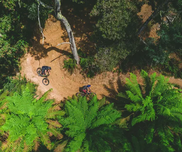 The Derby revolution