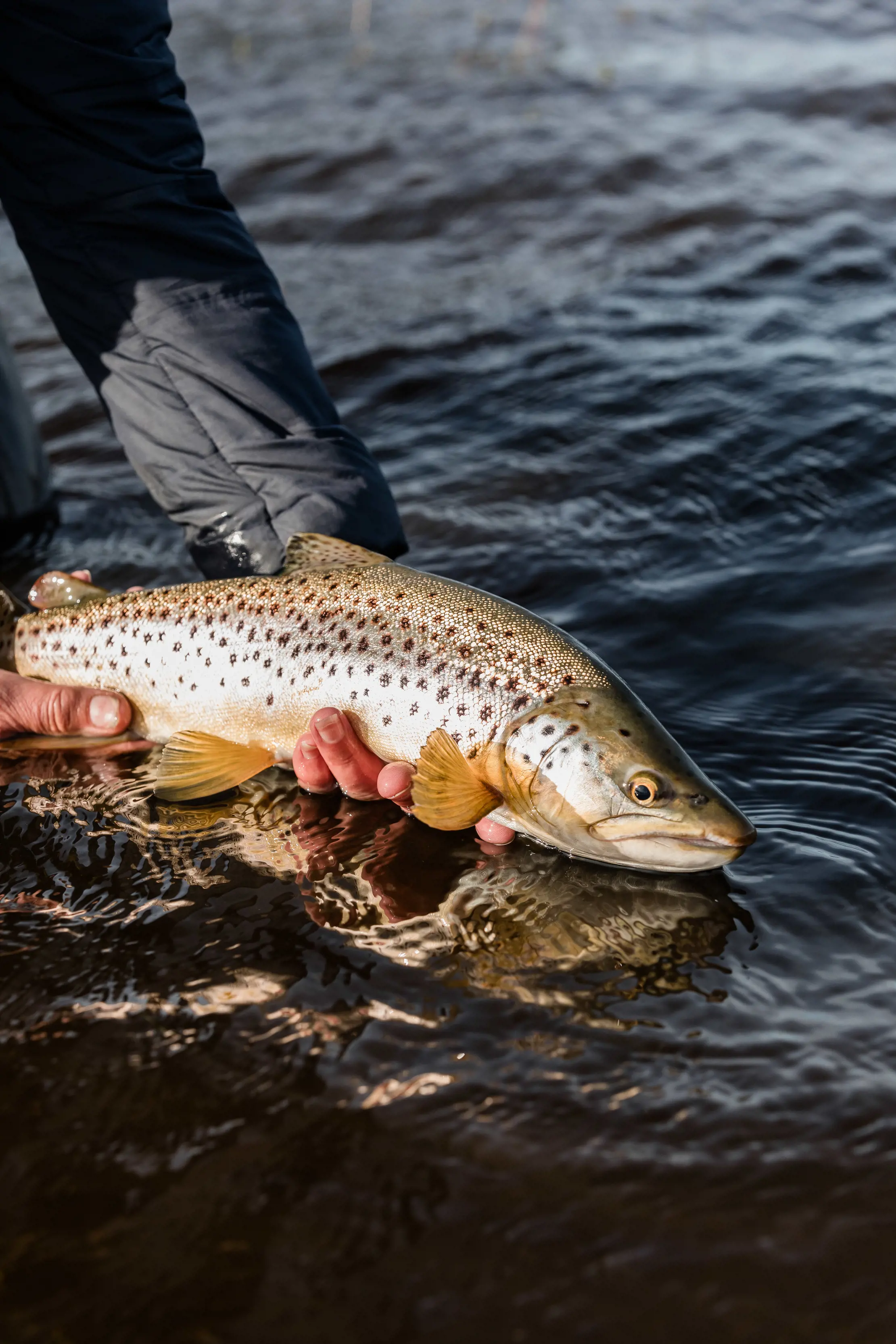  Fly fishing on Penstock Lagoon 