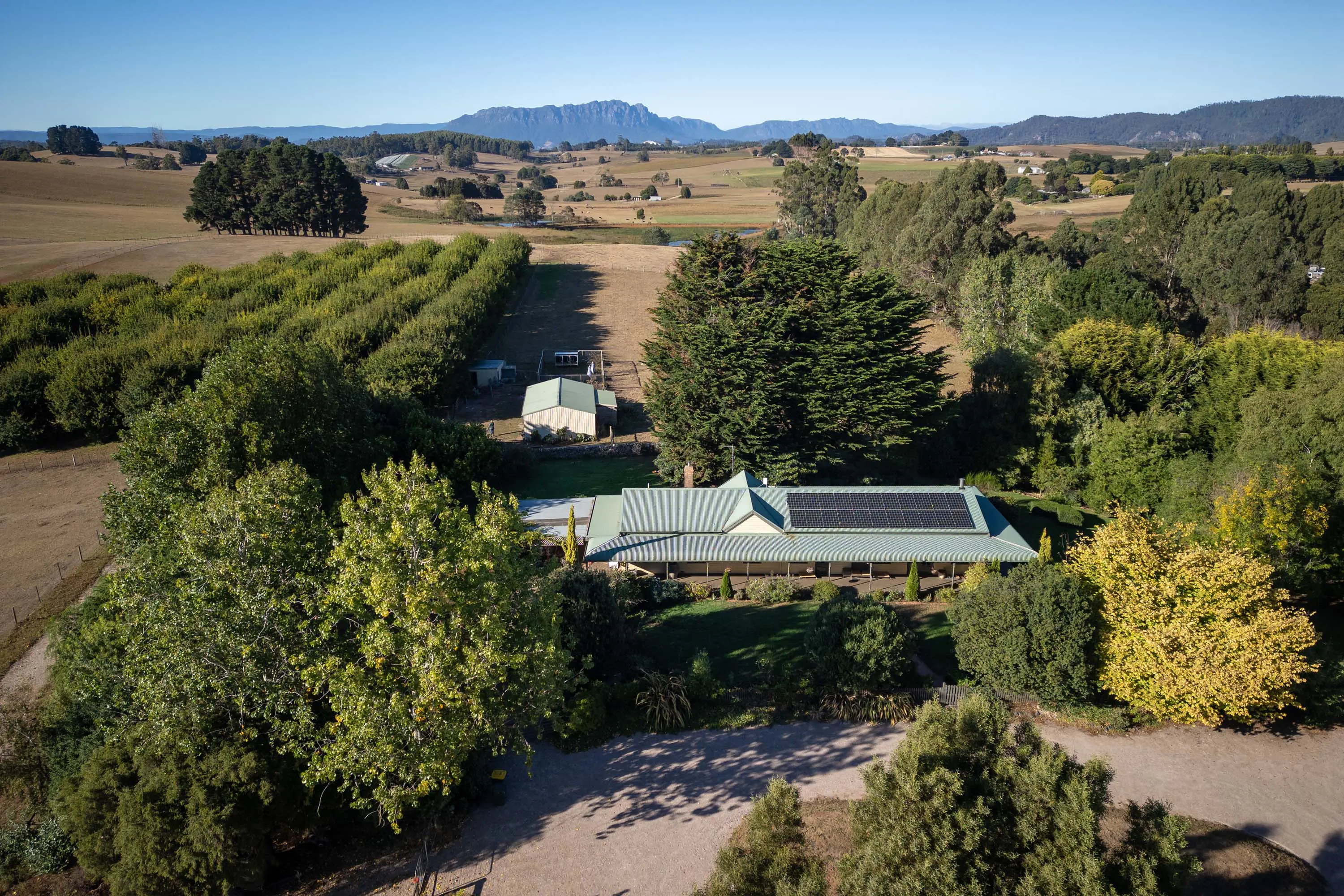 An aerial view of a rural property. The central building is surrounded with different types of trees, and in a paddock to one side there are neat rows of the same type of greenery.