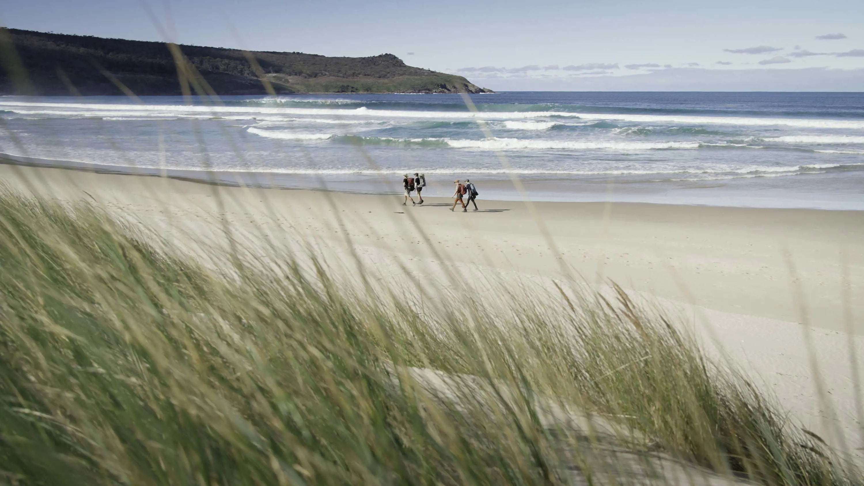 Looking over a grassy hill, a small group of hikers walk along the sand of an otherwise-deserted beach. Small waves are rolling in.