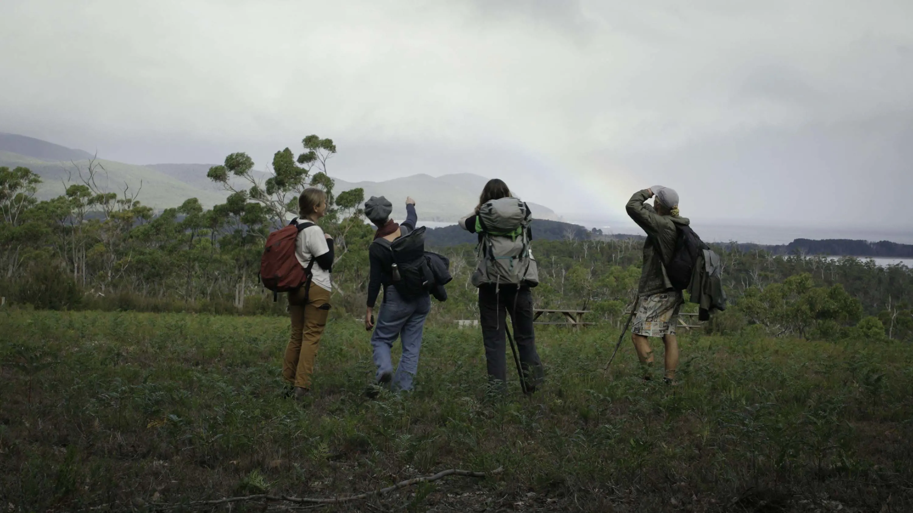A group of hikers carrying backpacks stand in an open clearing, looking and pointing out to the foggy sky.