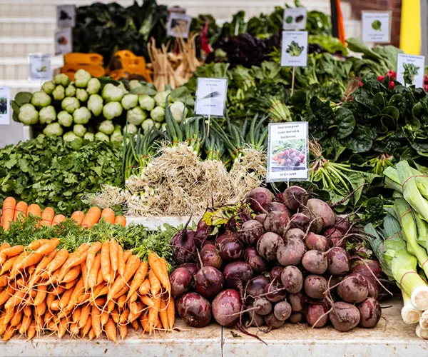 A vegan and vegetarian guide to Tasmania