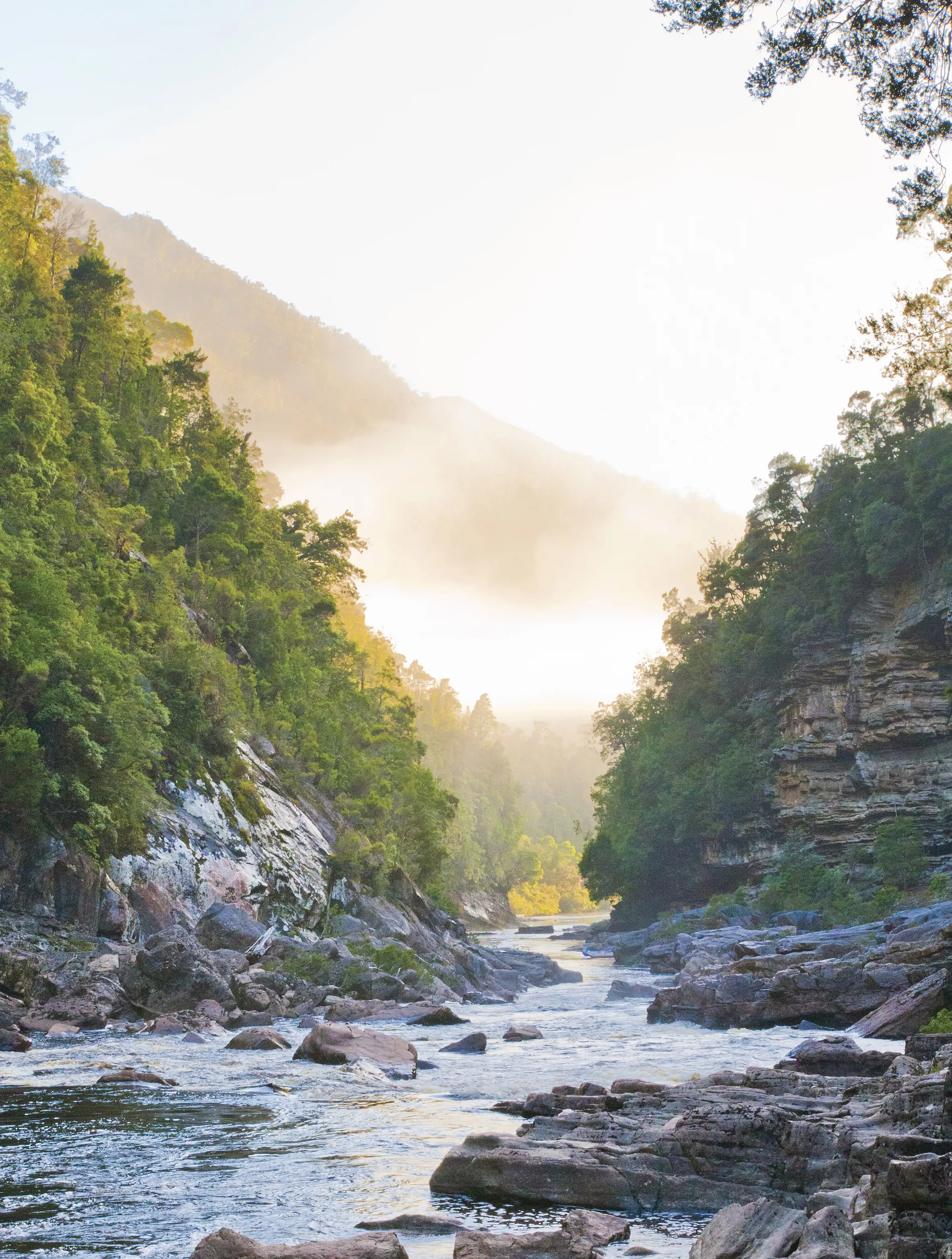 Landscape of The Franklin–Gordon Wild Rivers National Park, with mountain peaks, gorges and world-famous rivers.