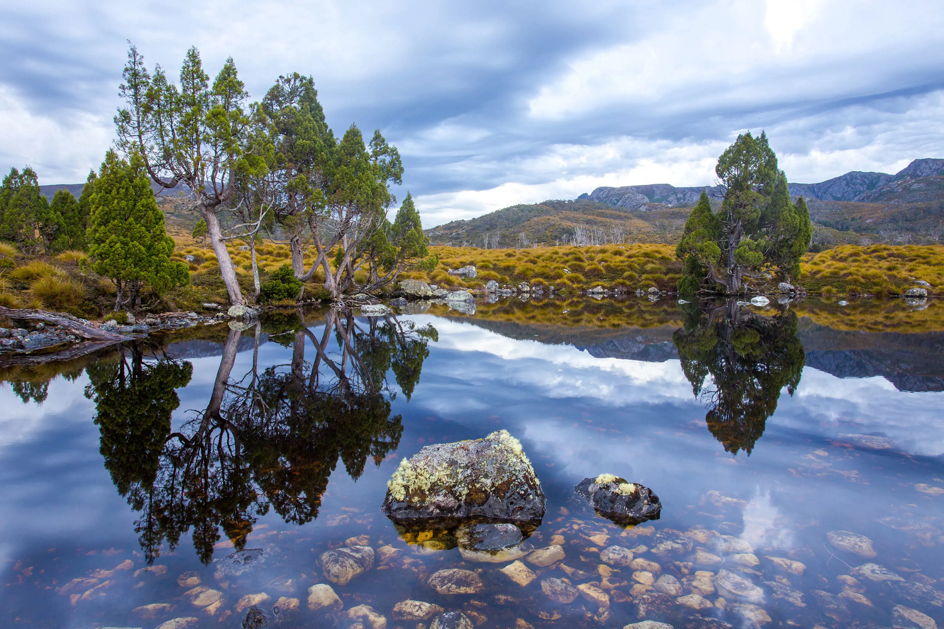 A shallow, glassy pool clearly reflects the landscape. A few trees sit on the banks and yellow-green grass covers the landscape behind.