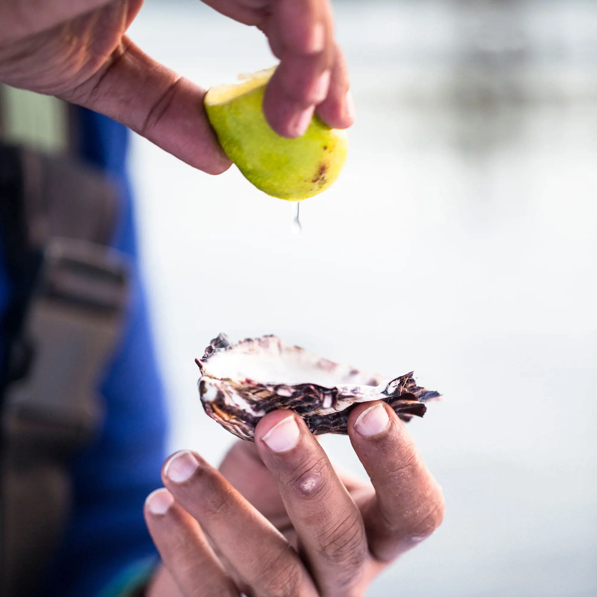 A person is squeezing juice from a wedge of lemon into an open oyster. 