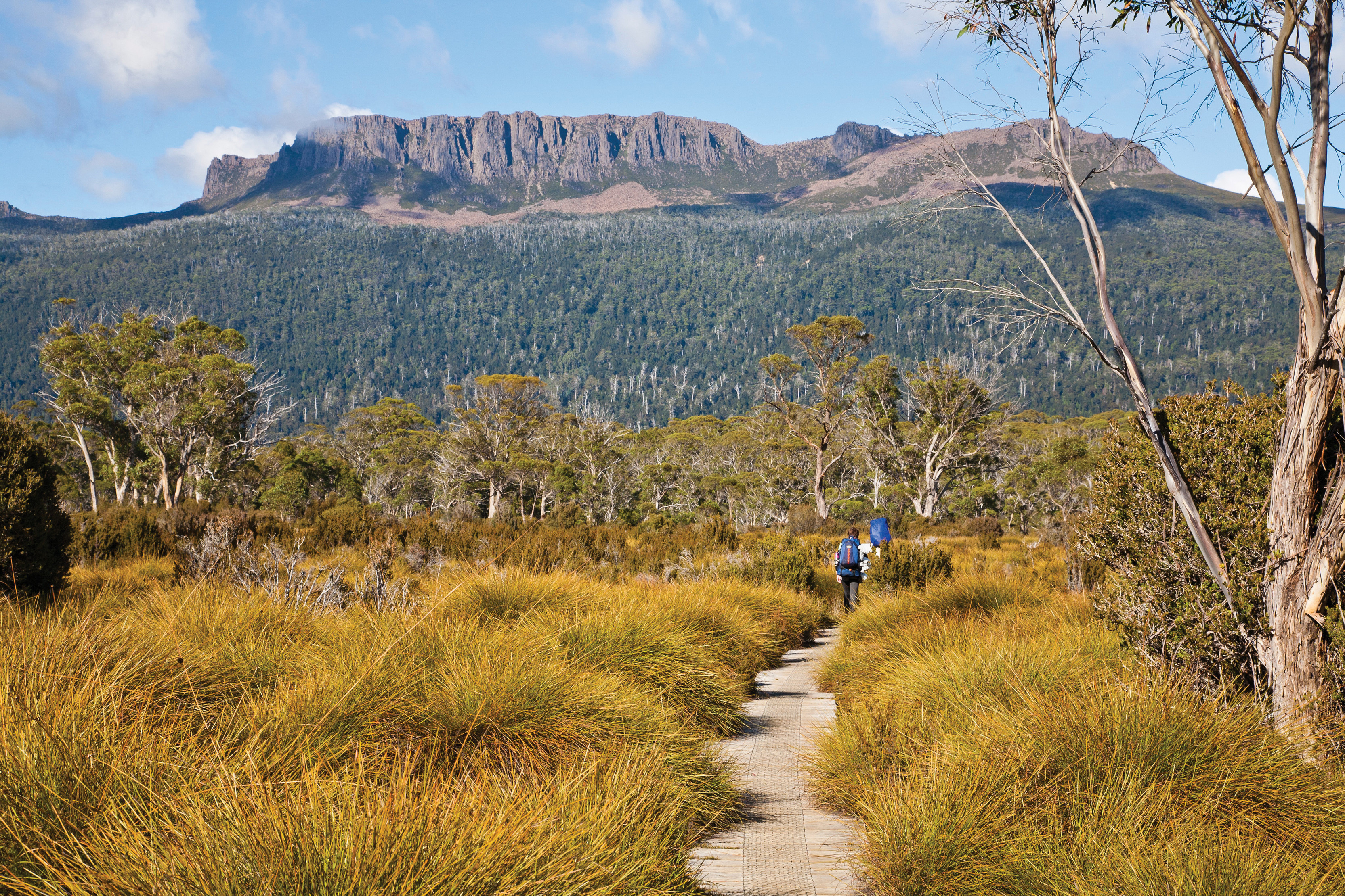 Best guided wilderness walks Discover Tasmania