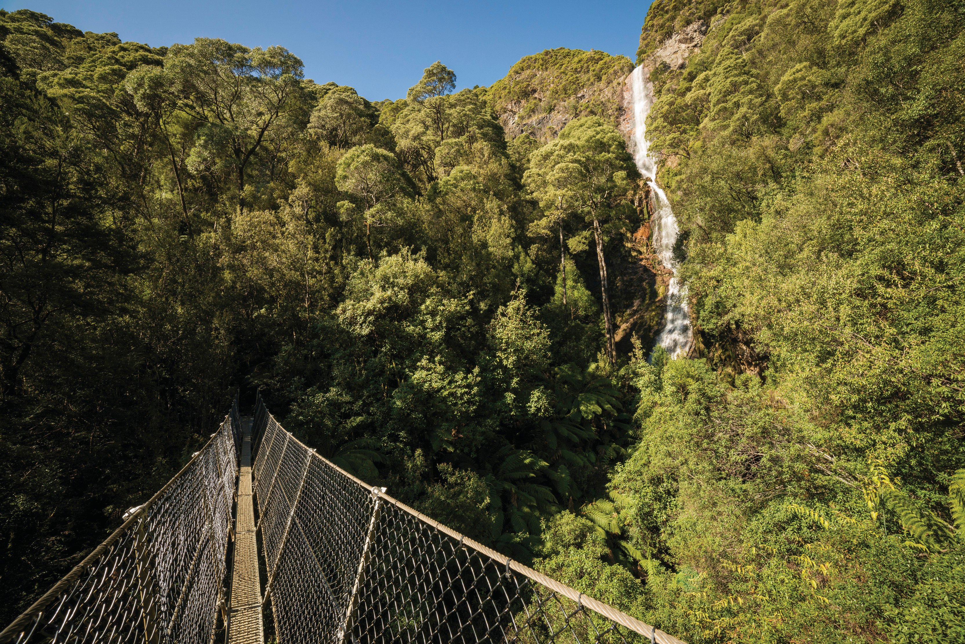 Wide of Montezuma Falls, Tasmania's highest waterfall, taken from the nearby bridge.