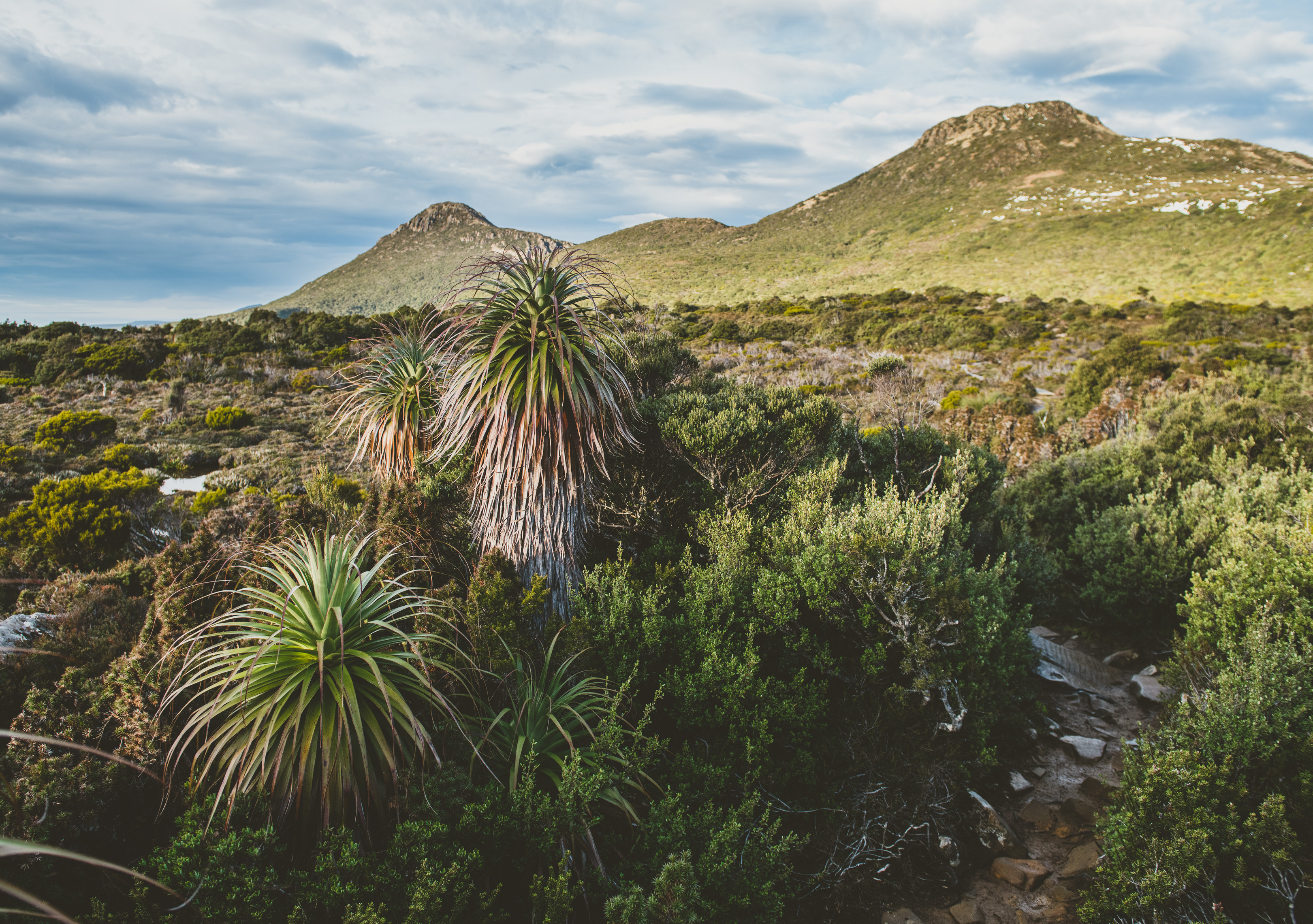 Views of the south-west wilderness from Hartz Peak Walk.