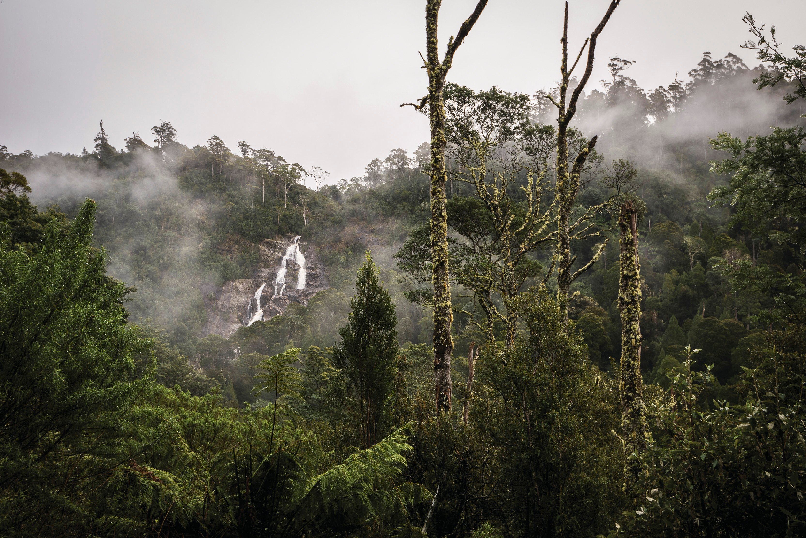 Aerial shot capturing the mist above St Columba Falls State Reserve