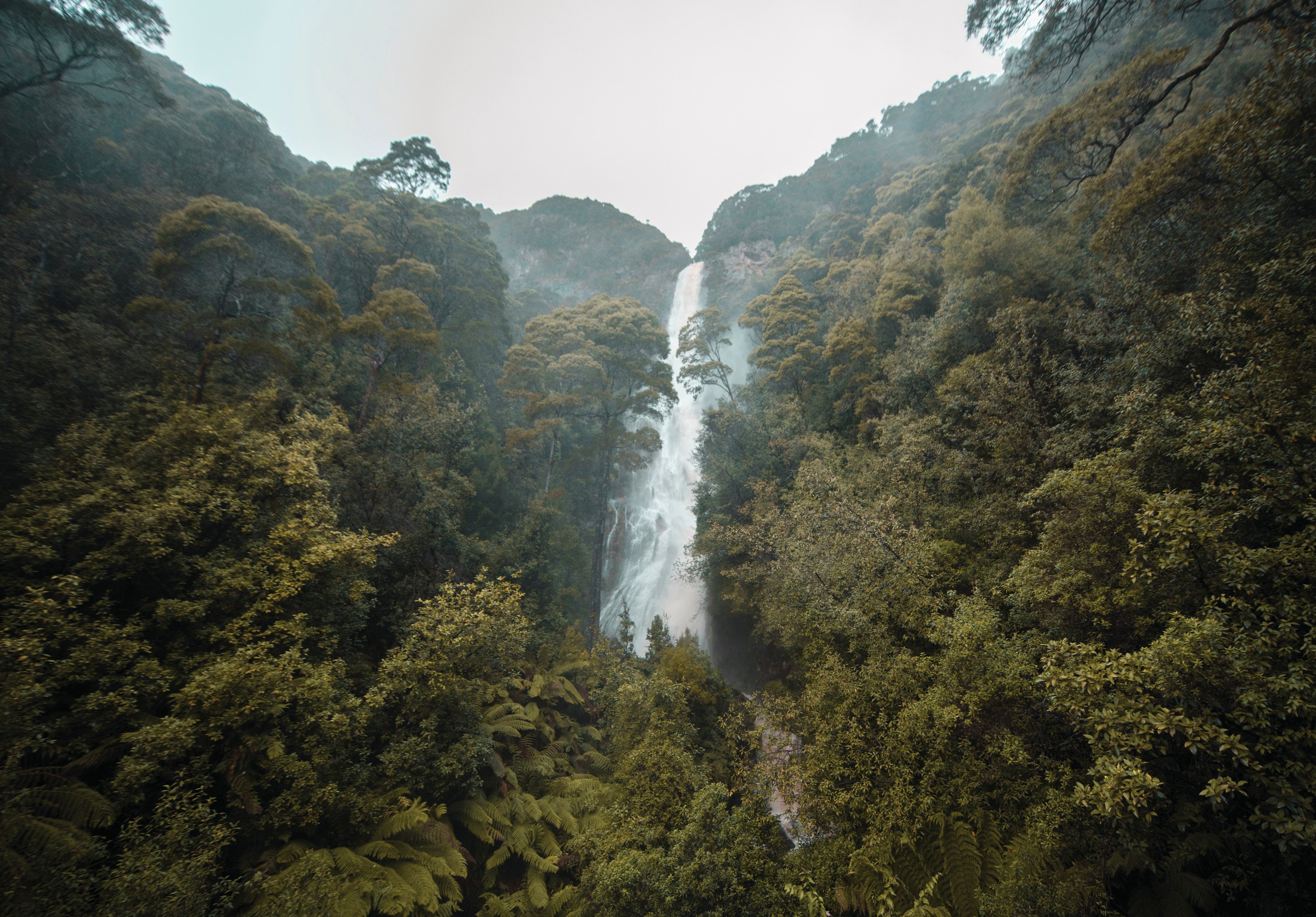 Best Waterfalls Of Tasmania - Discover Tasmania