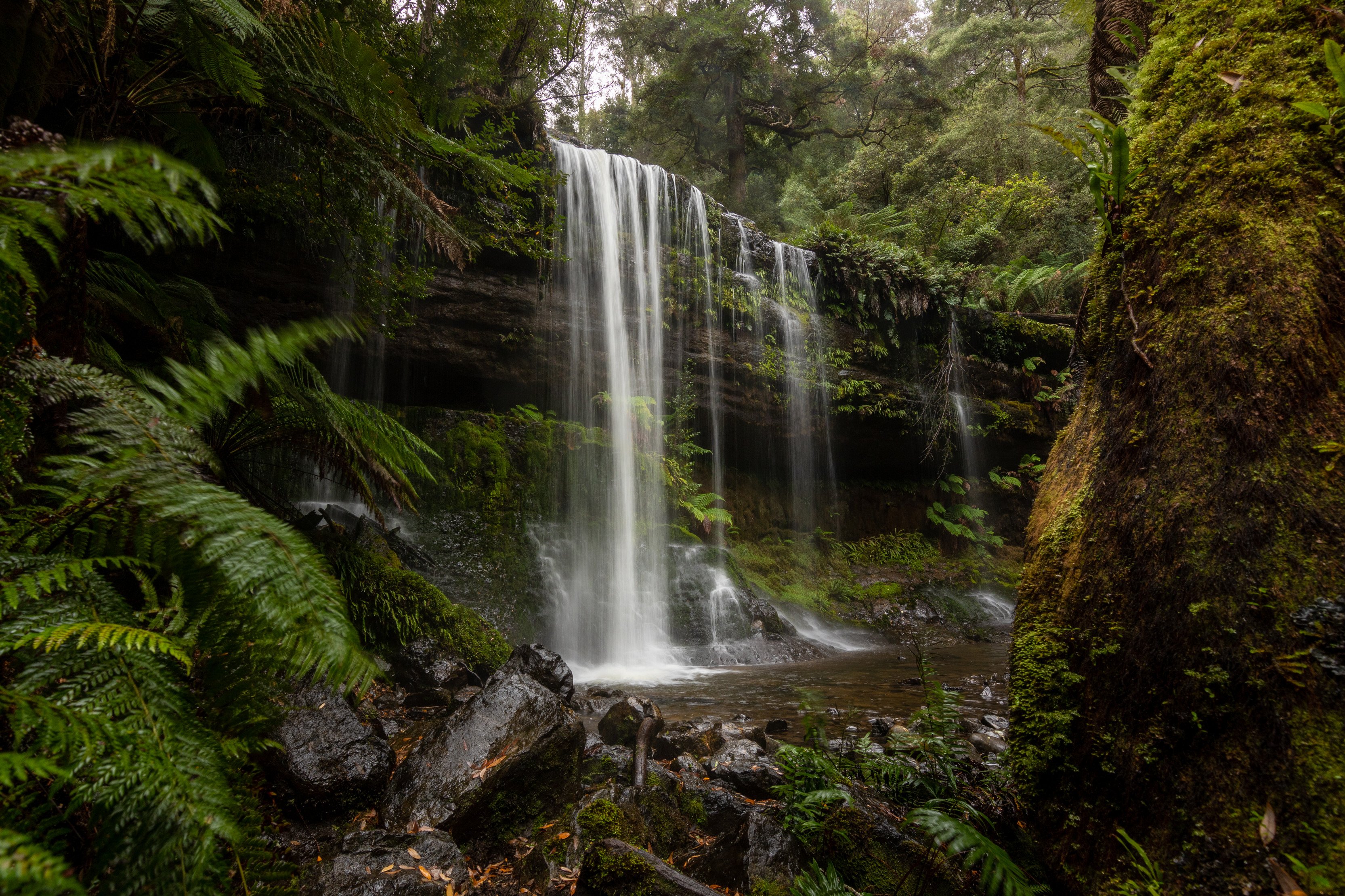 Best Waterfalls Of Tasmania - Discover Tasmania